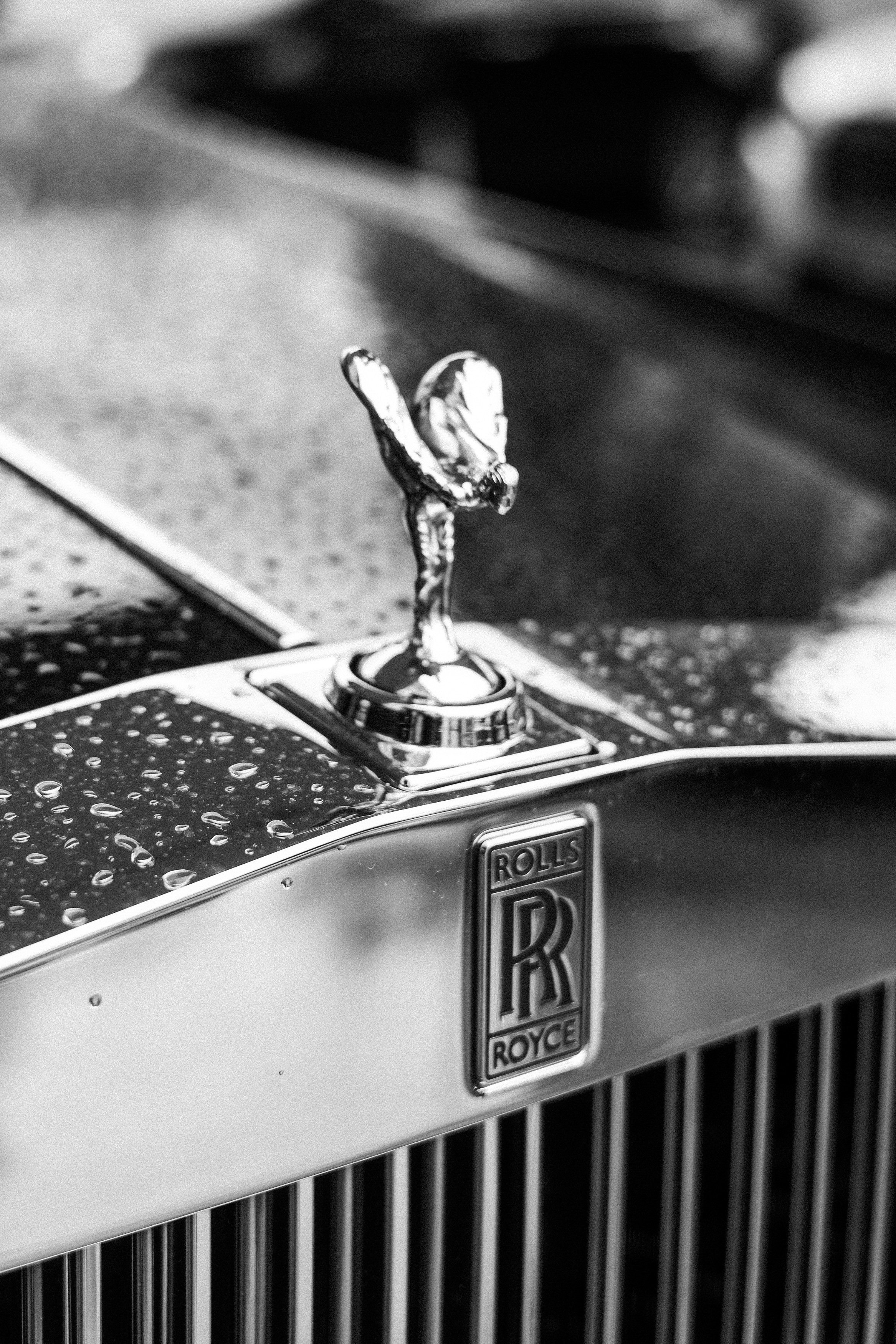 Жан и Лейла