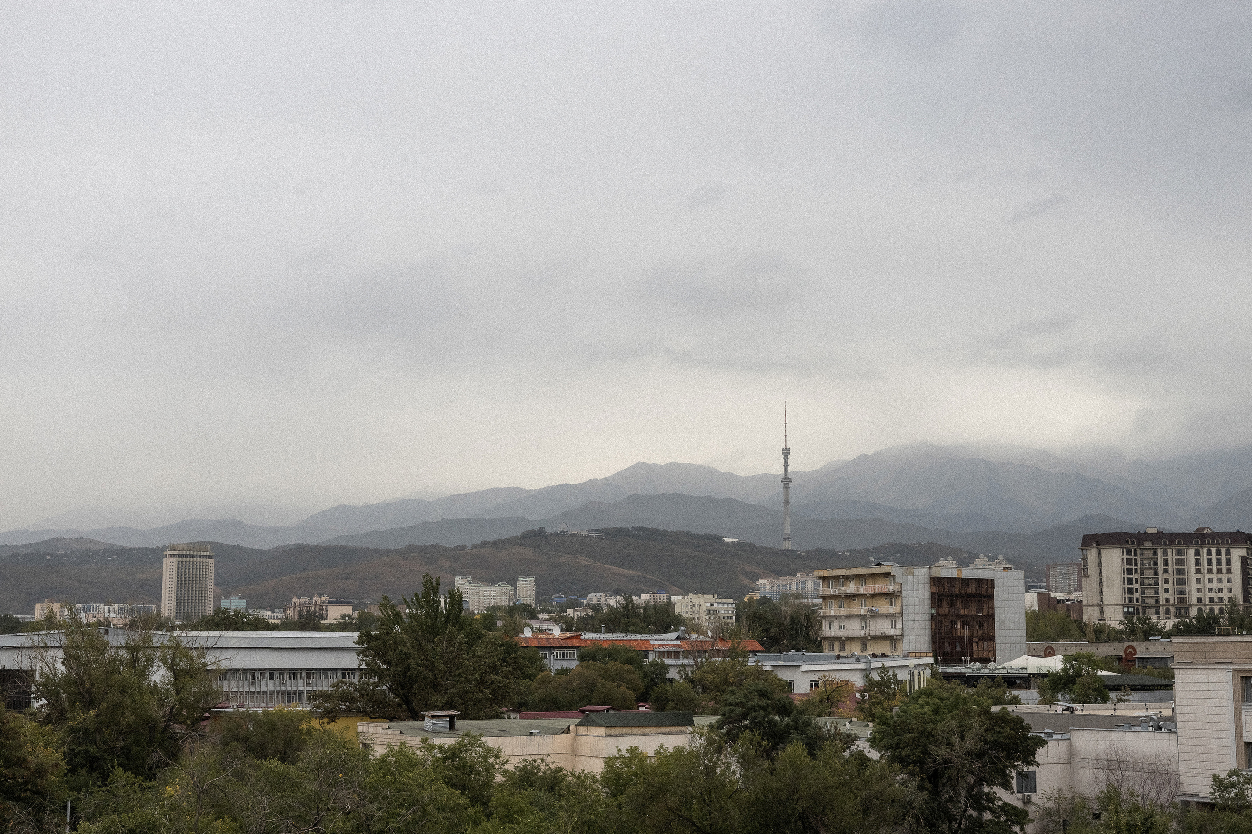 Жан и Лейла