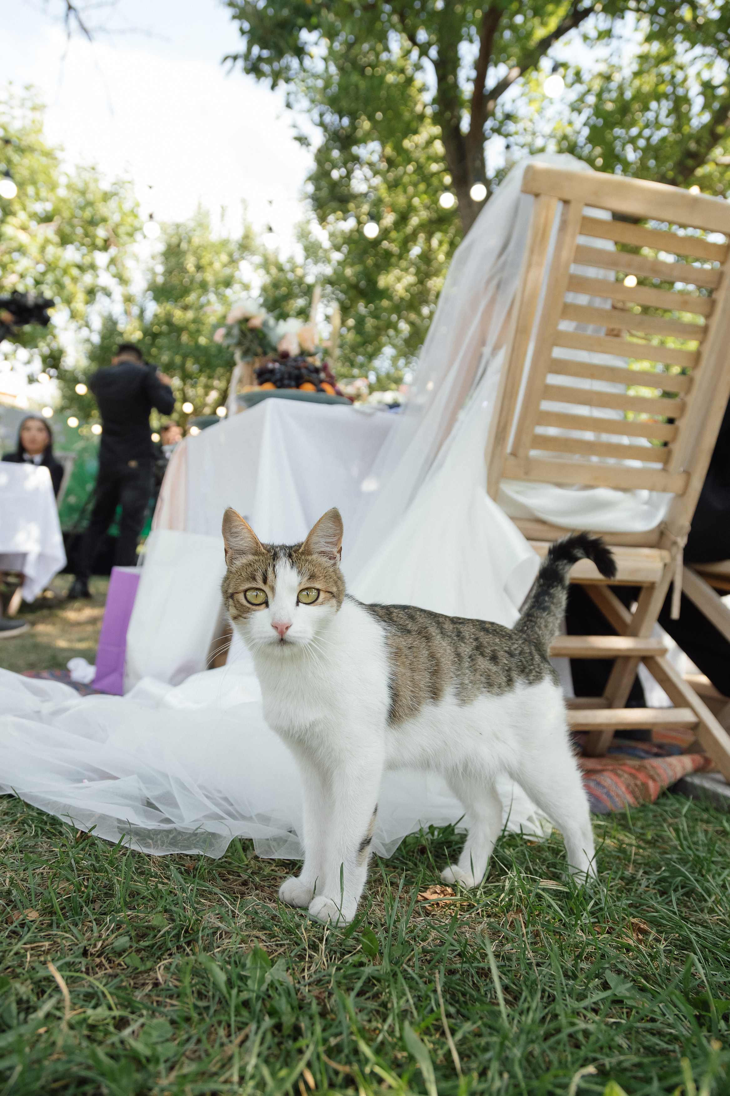 Штефан и Анастасия