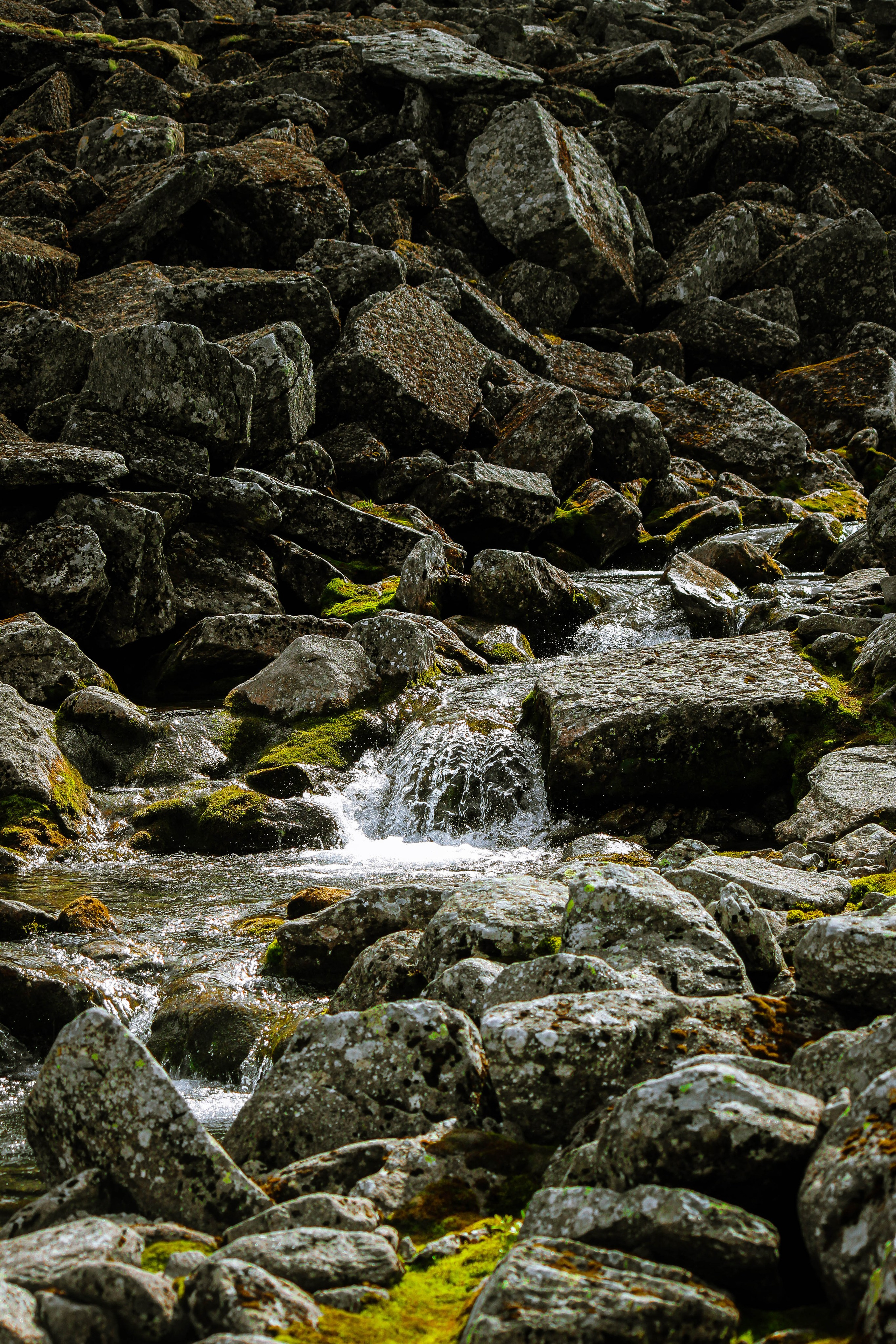 Хибины и Ловозера. Maks Mironov