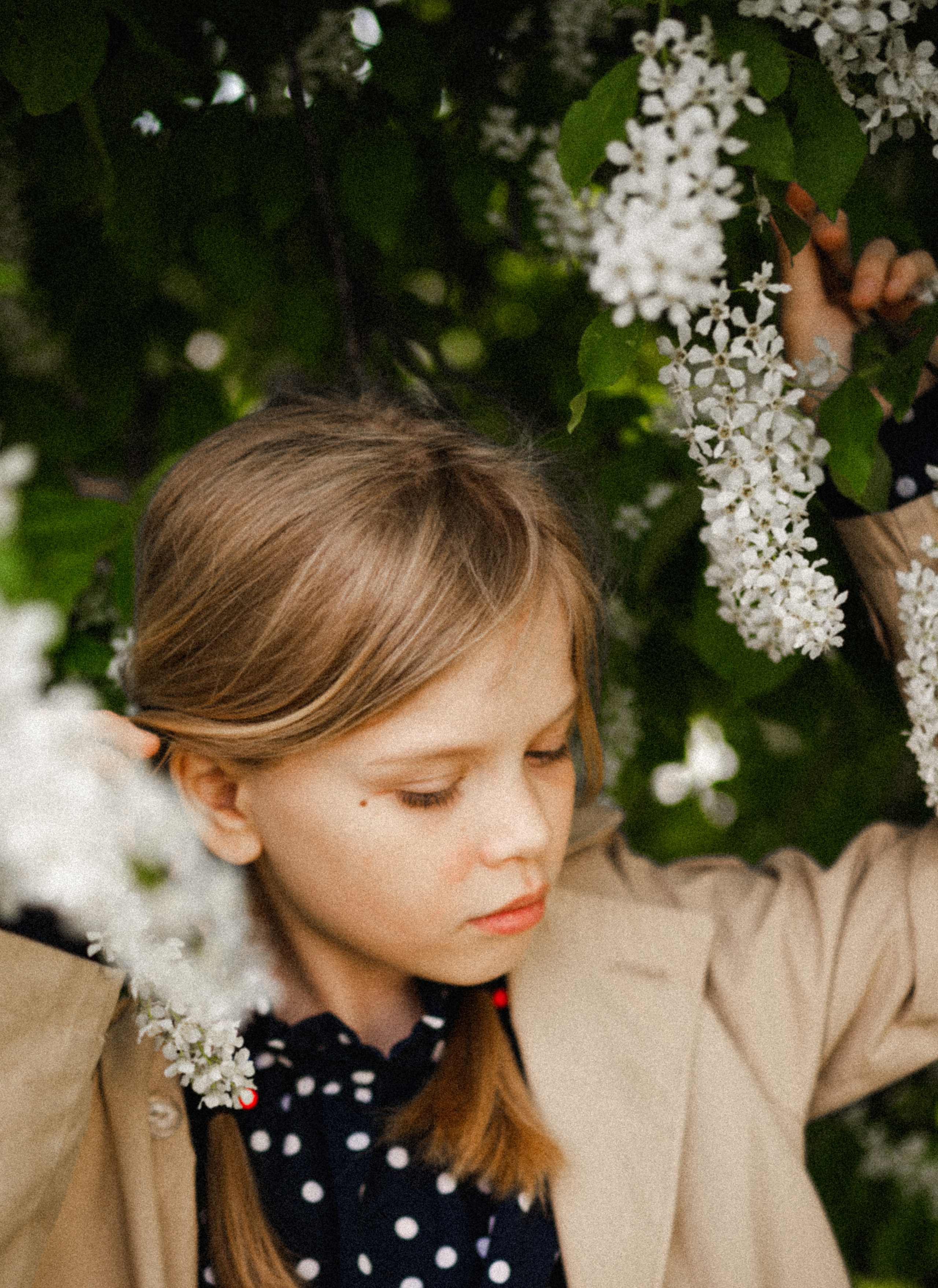 Polaroid preset's. Семейный Фотограф Новосибирск, Школьные фотосессии Новосибирск, школьный фотограф Новосибирск, выпускные альбомы