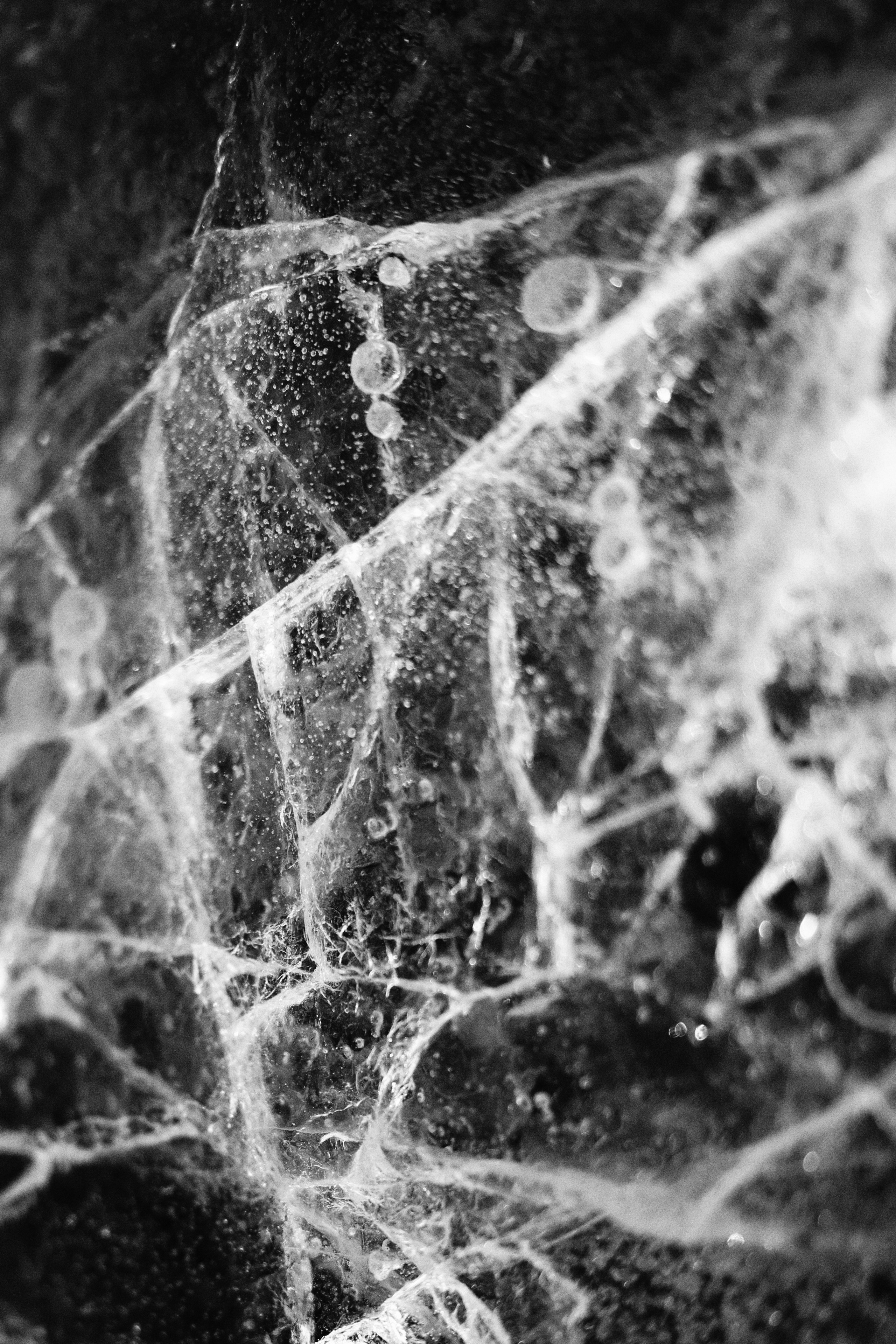 Репортажный, портретный фотограф, фотохудожник Катя Санникова