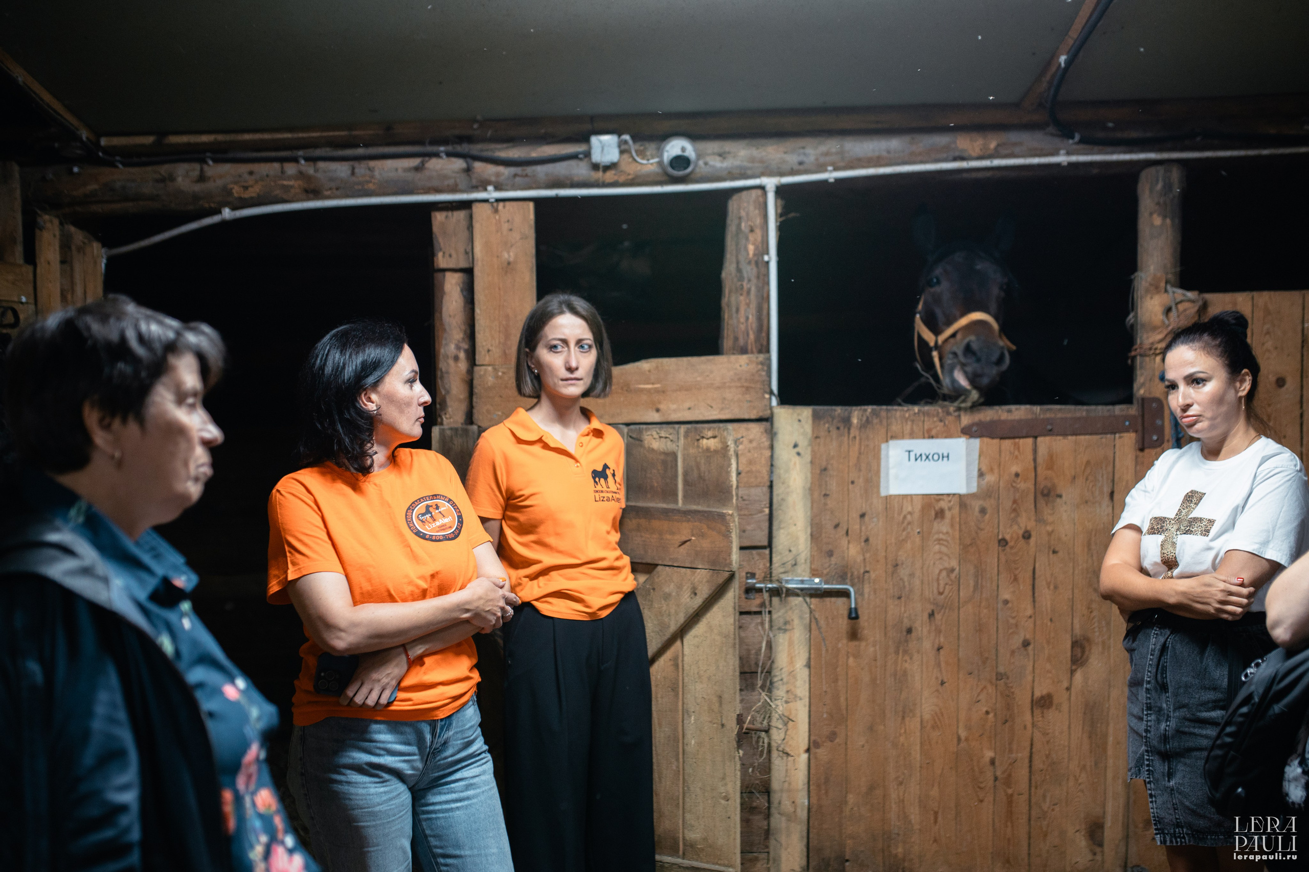 ДПСО «ЛизаАлерт». Главная