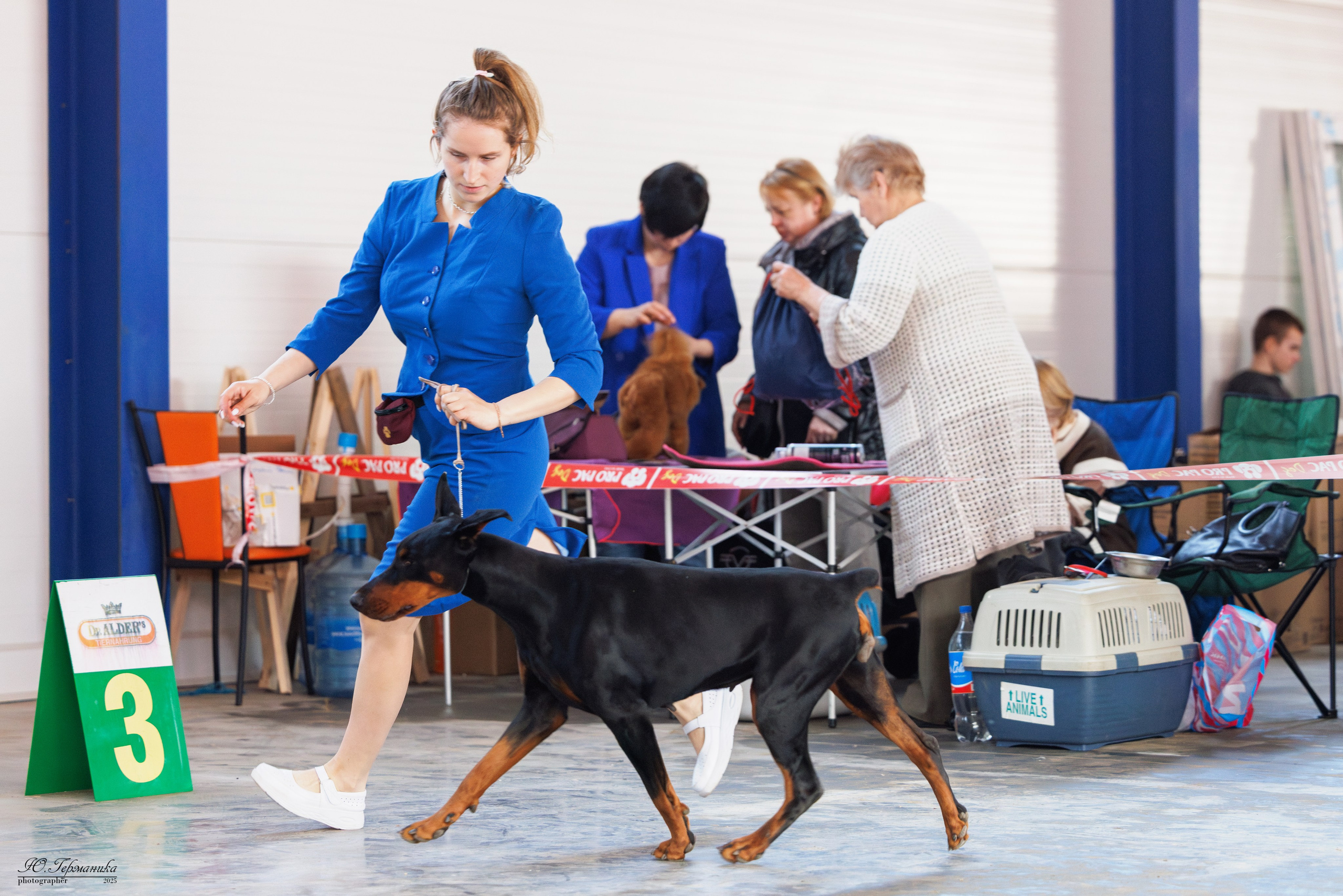 Тверь 12.04,Сфера 13.04,Сергиев Посад 19.04.2025. Фотограф-анималист Юлия Германика