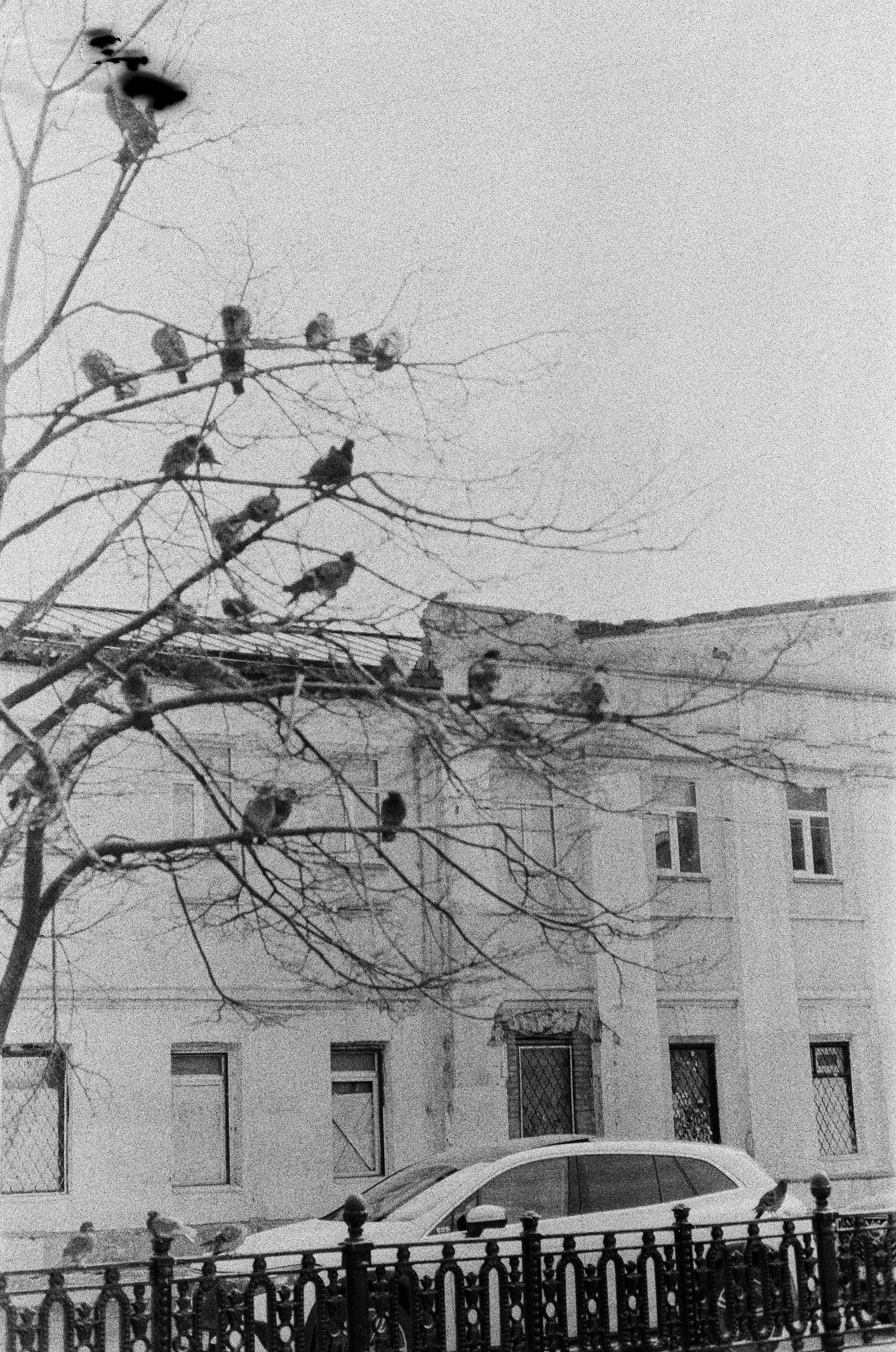 22/04/2026. Влада Касабова. Фотограф