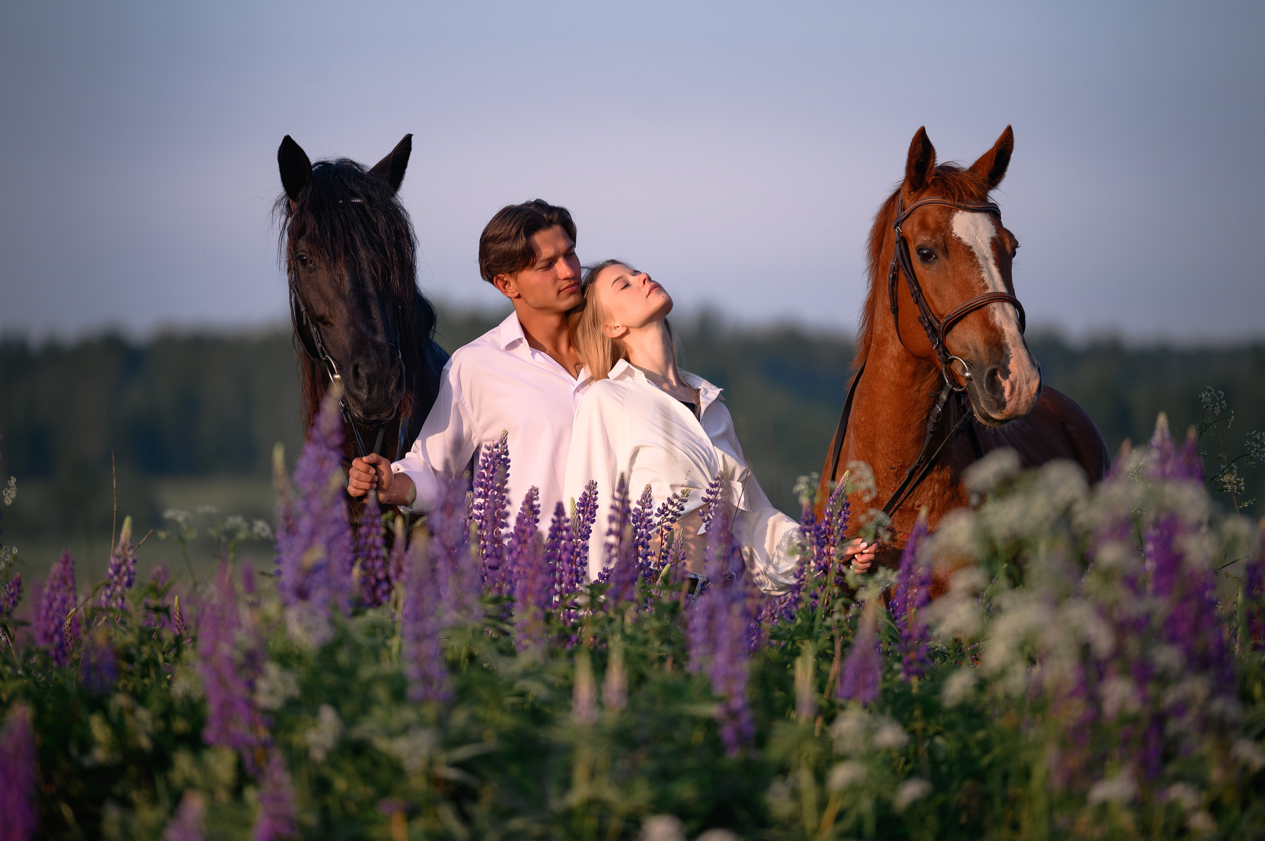 Рассвет в Подмосковье. Фотограф в Ростове —на — Дону