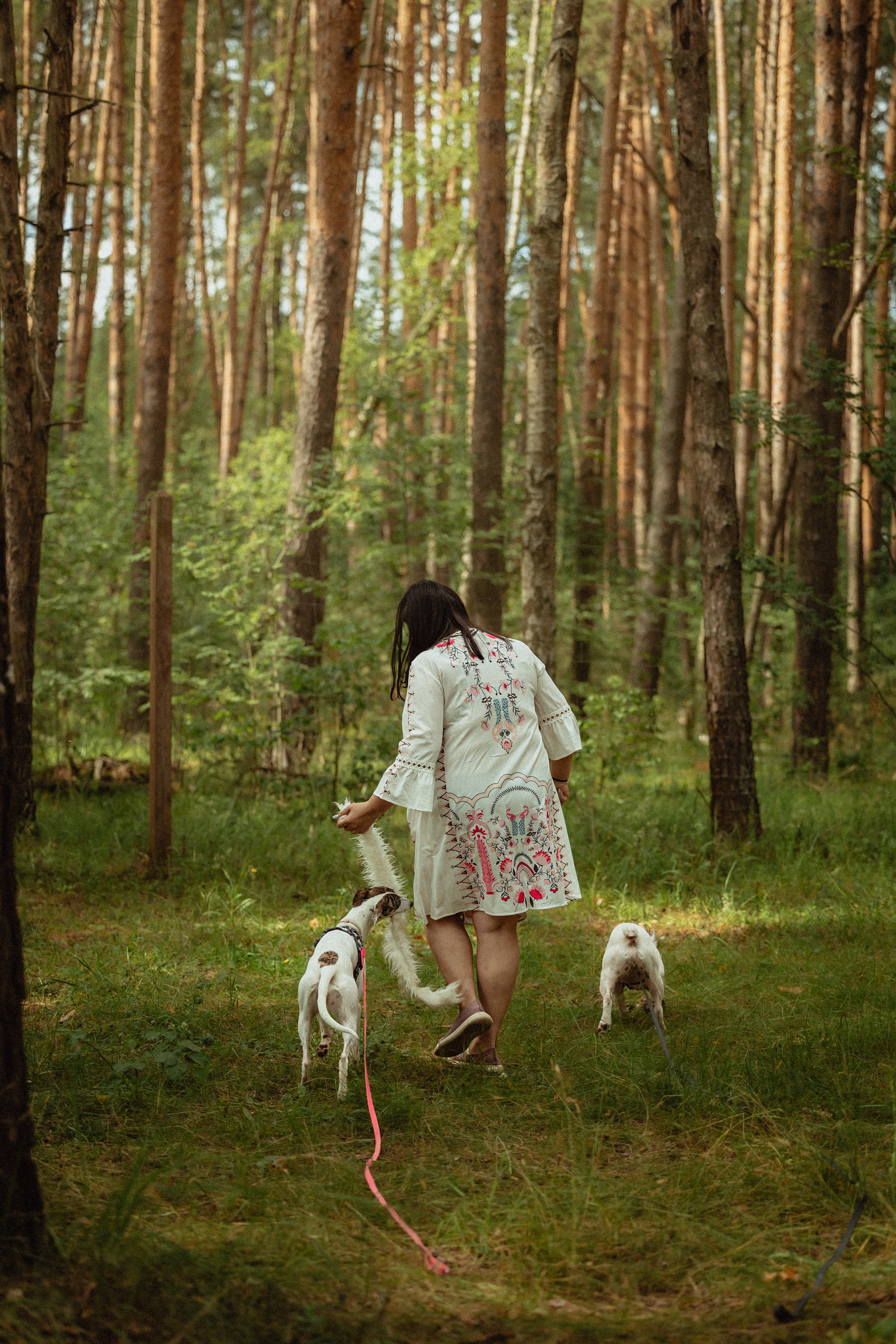 Выездной дог-тренинг от школы «Шерсть имею»