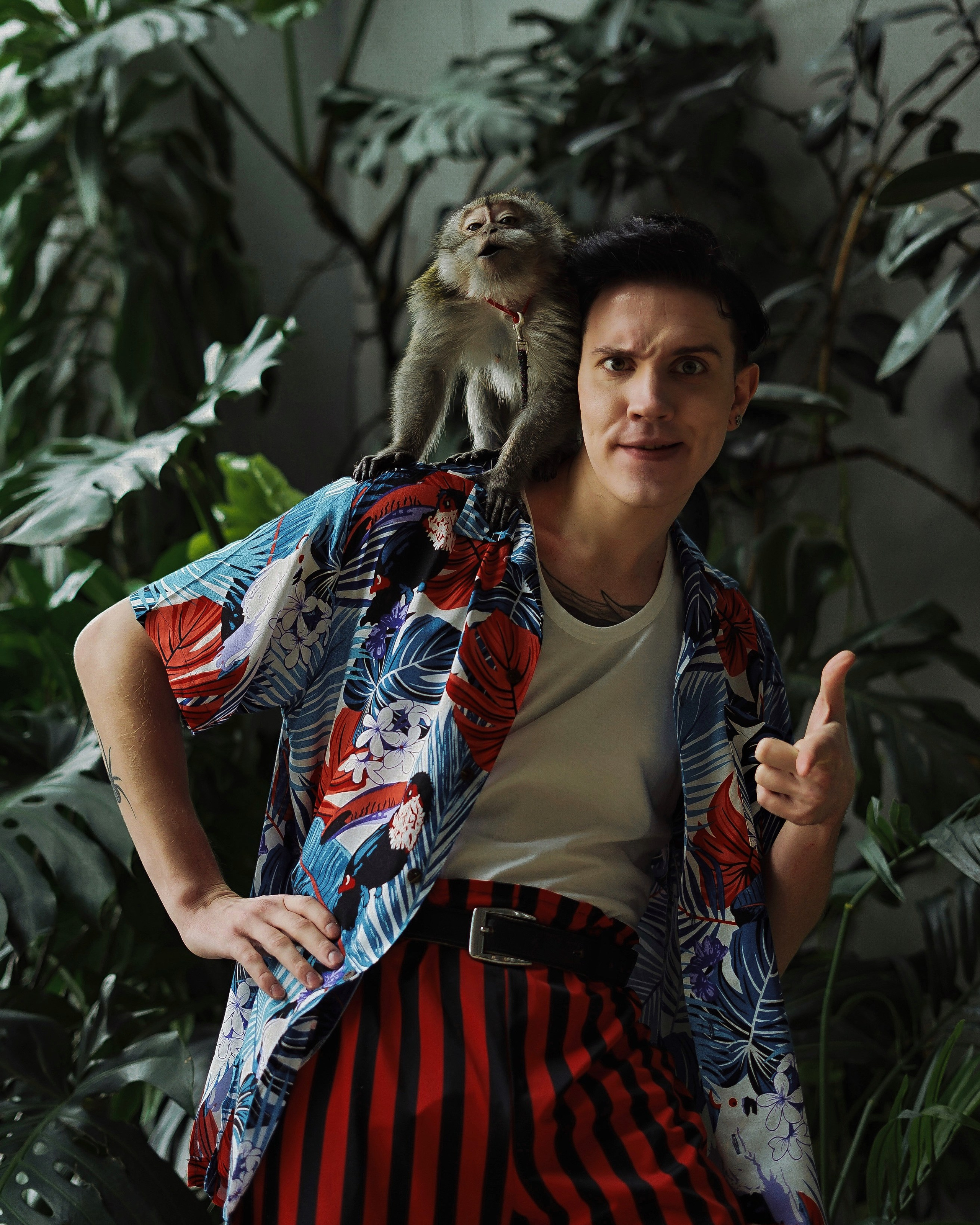 Эйс Вентура | Влад Левский. Главная