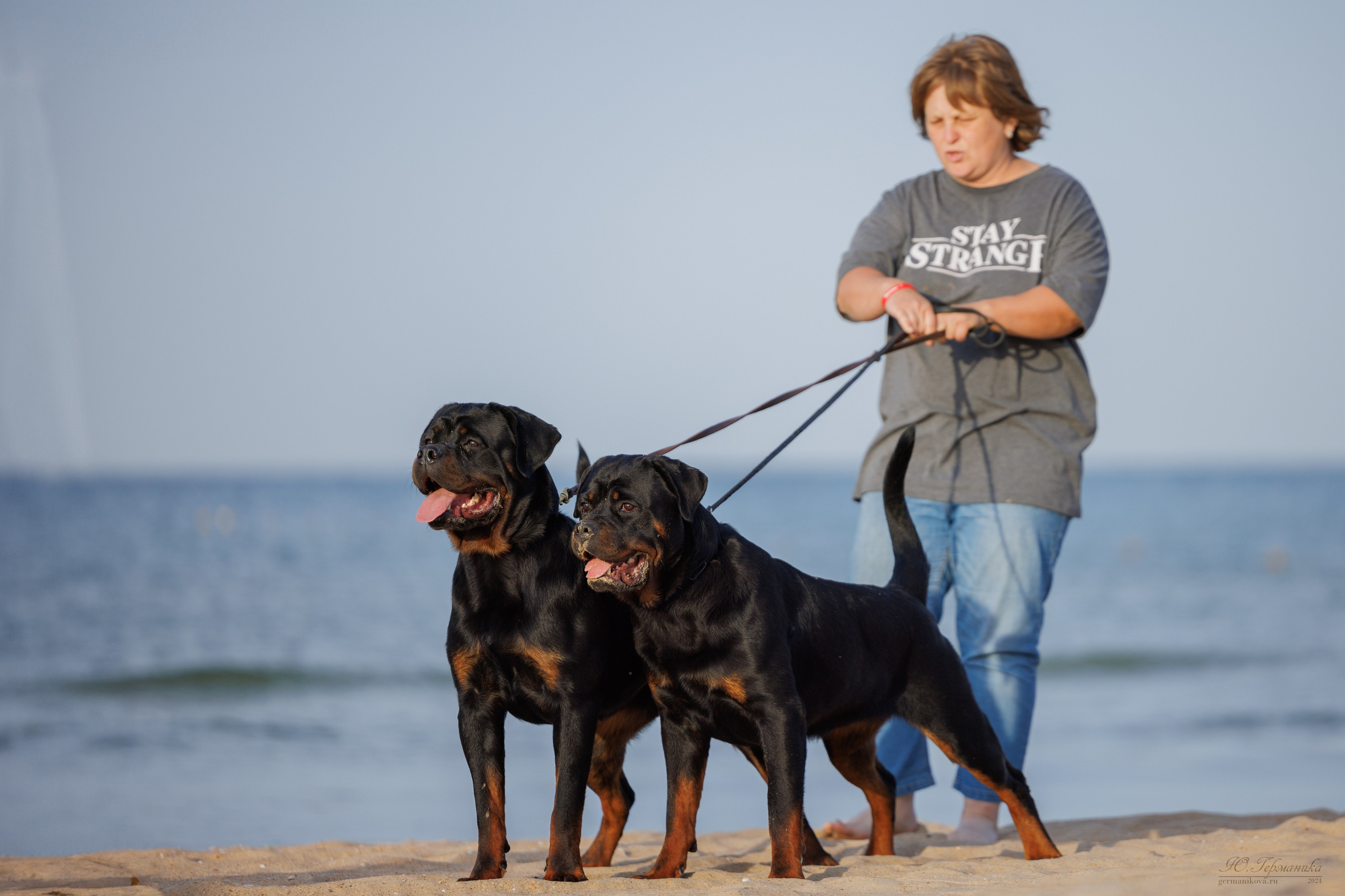 Свободная съемка. Фотограф-анималист Юлия Германика