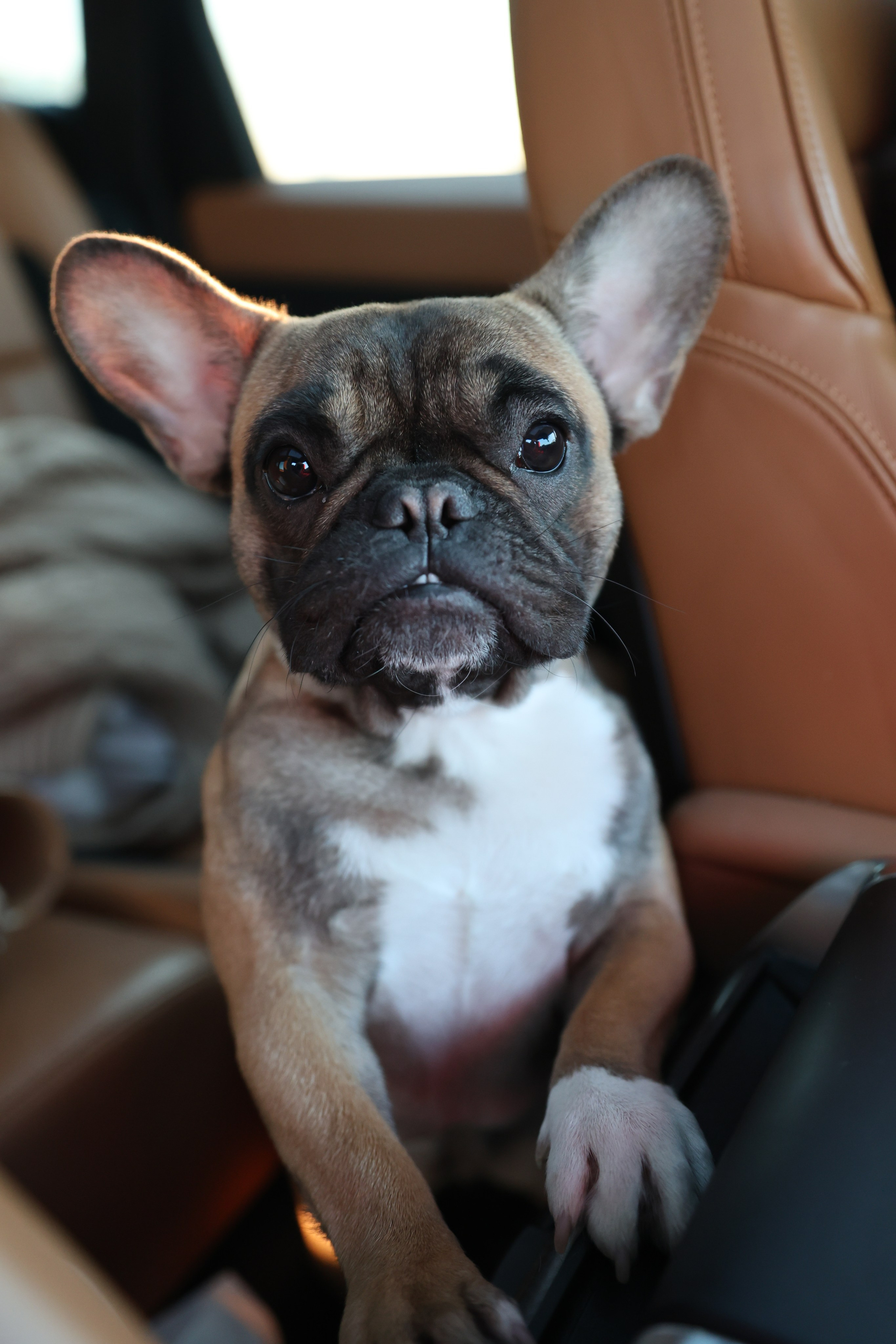 Прогулочные фотосессии. Фотограф Марина Калитина