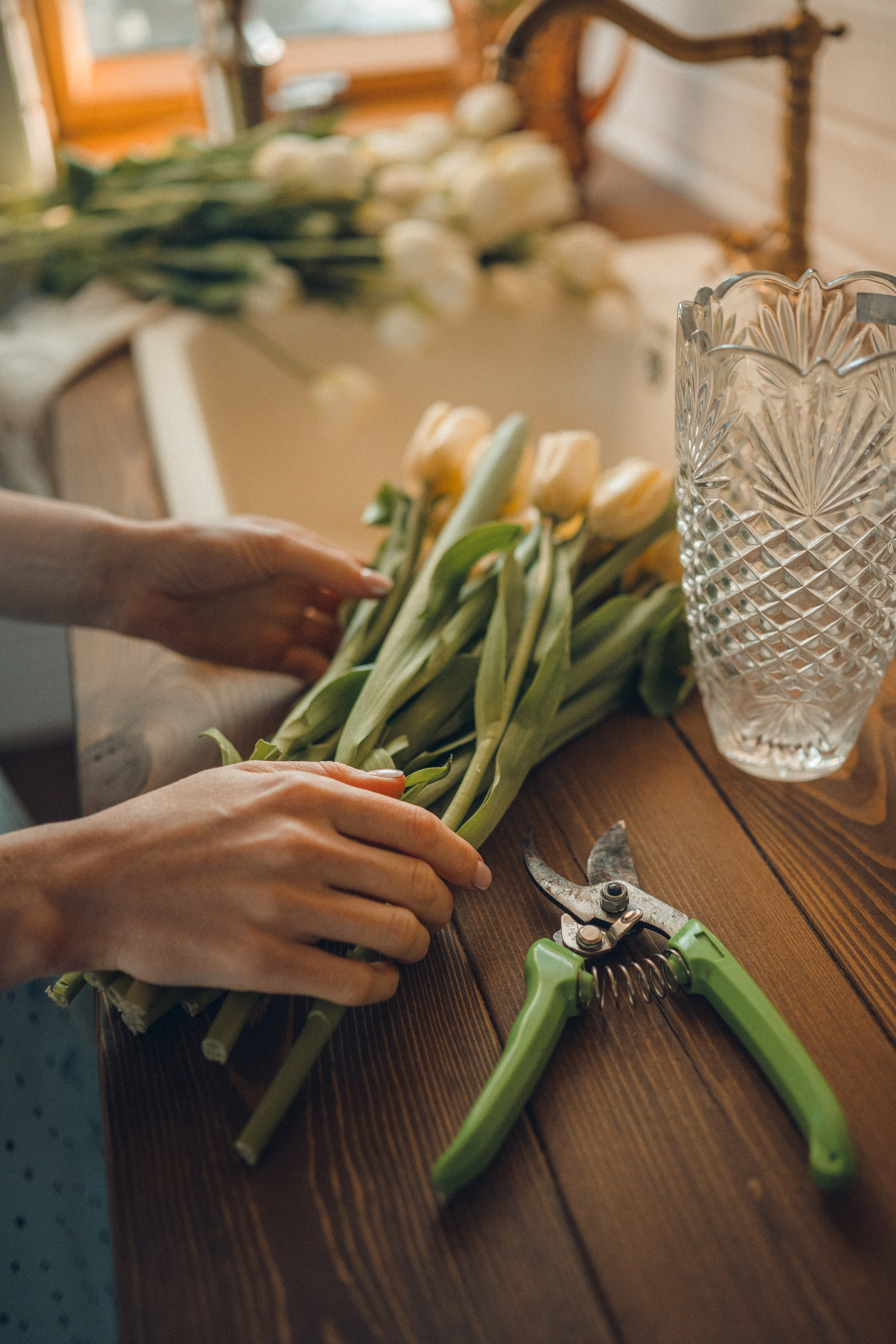 ДОМИК В ЛЕСУ. Фотограф в Белграде Чугреева Елена