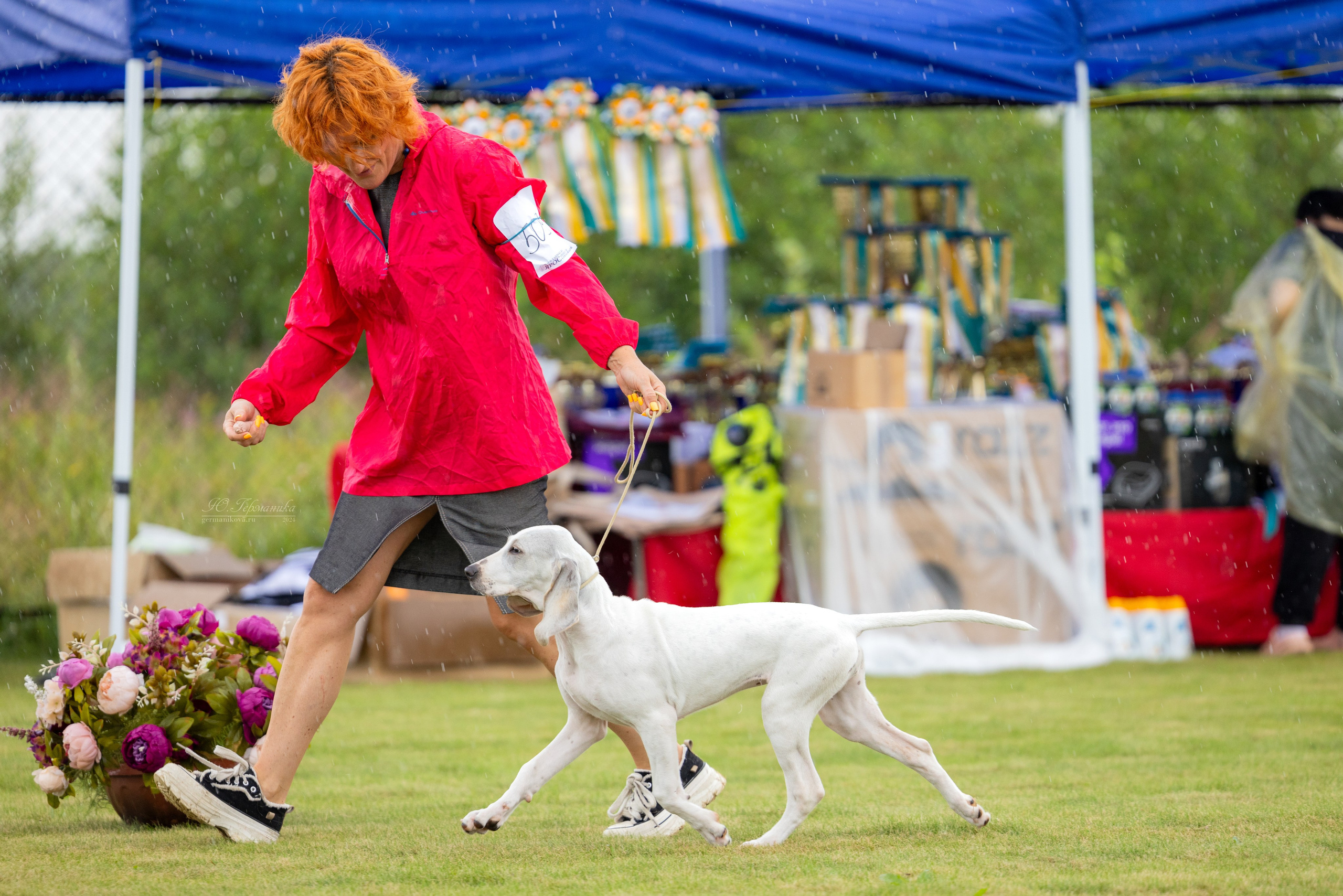 Ярославль 21.07.24 и Балашиха 13.07.24. Фотограф-анималист Юлия Германика
