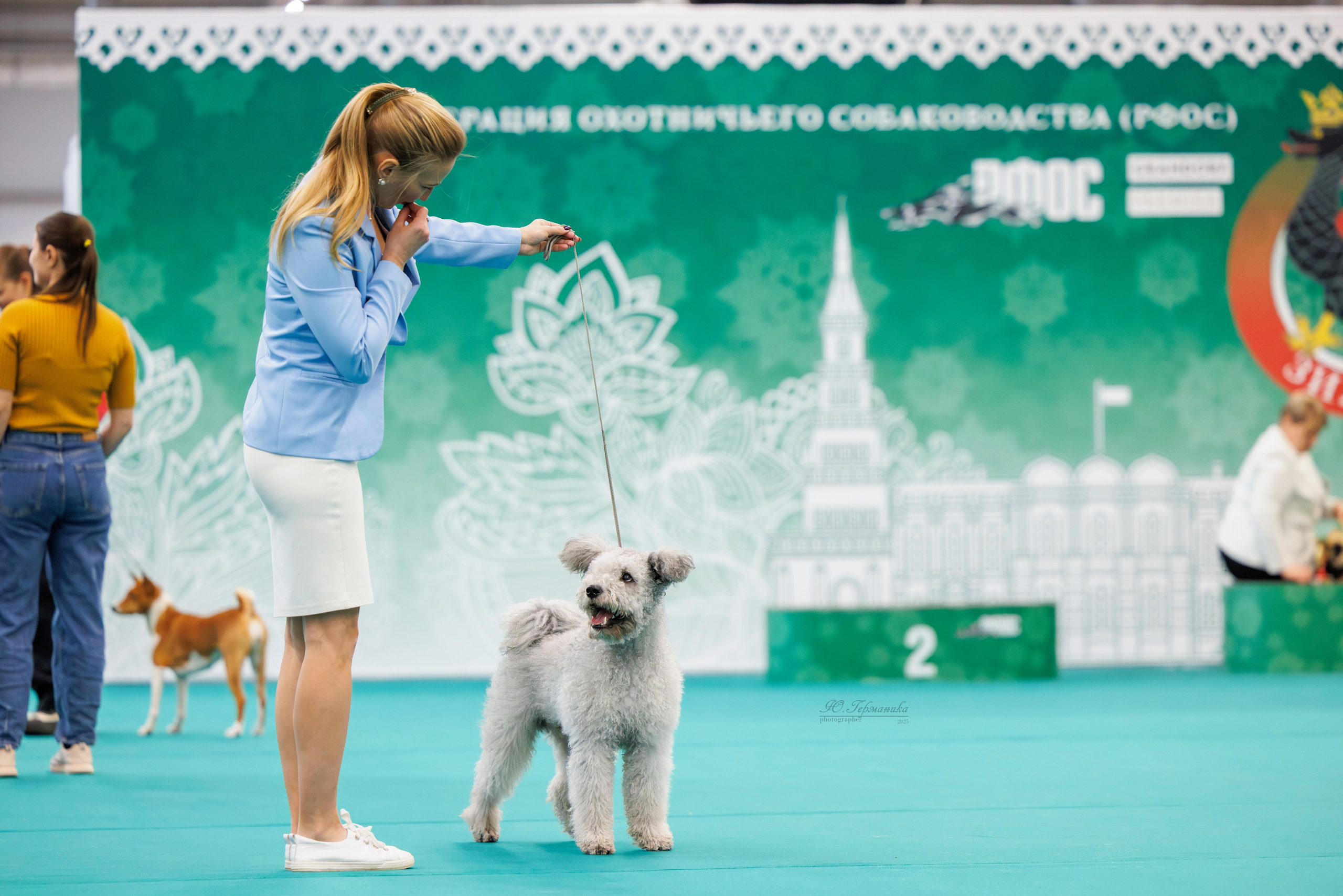 Зилант Казань 29-30.11.2025. Фотограф-анималист Юлия Германика