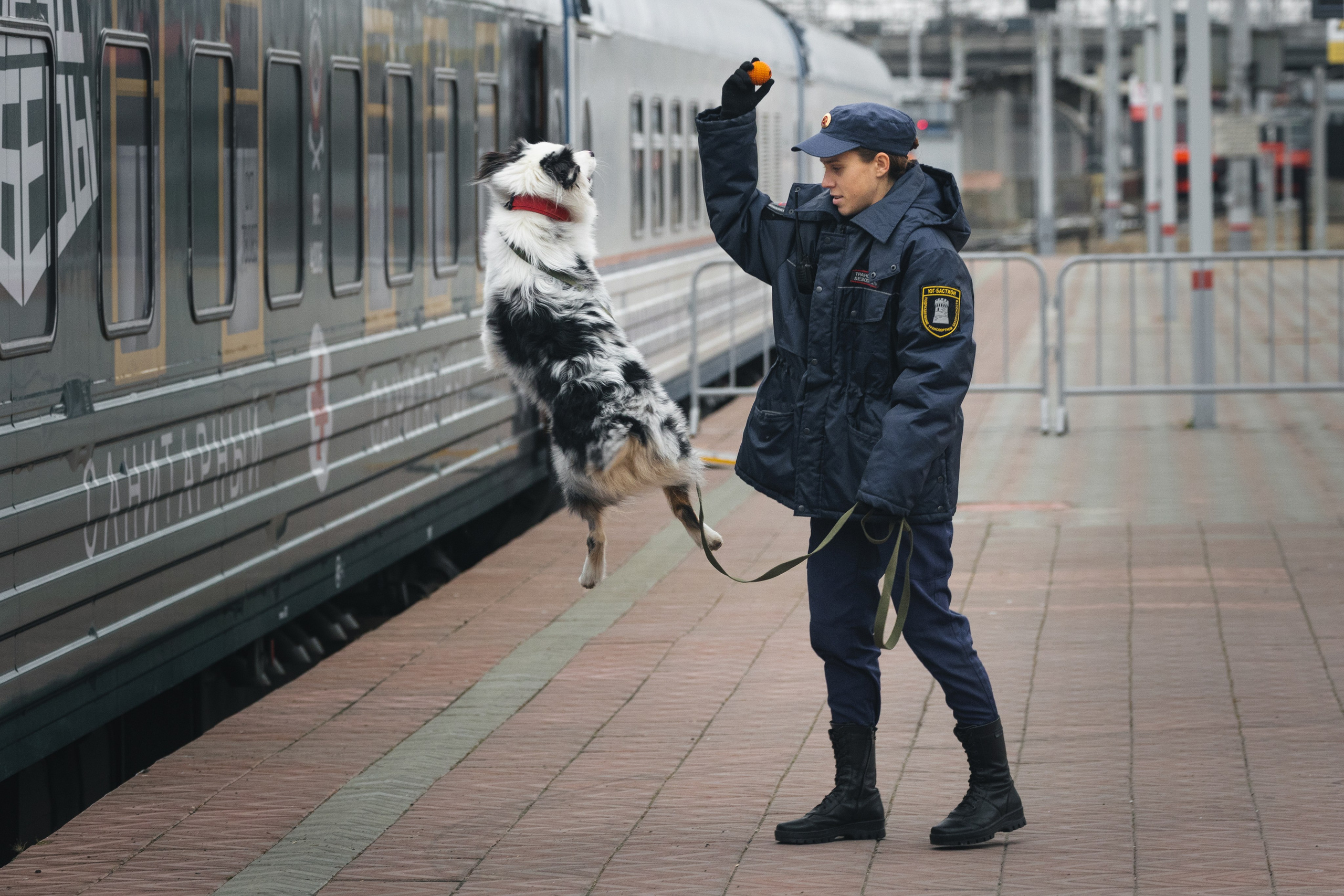 СТРИТ И ПРИРОДА. Репортажный фотограф Наталья Лапцевич