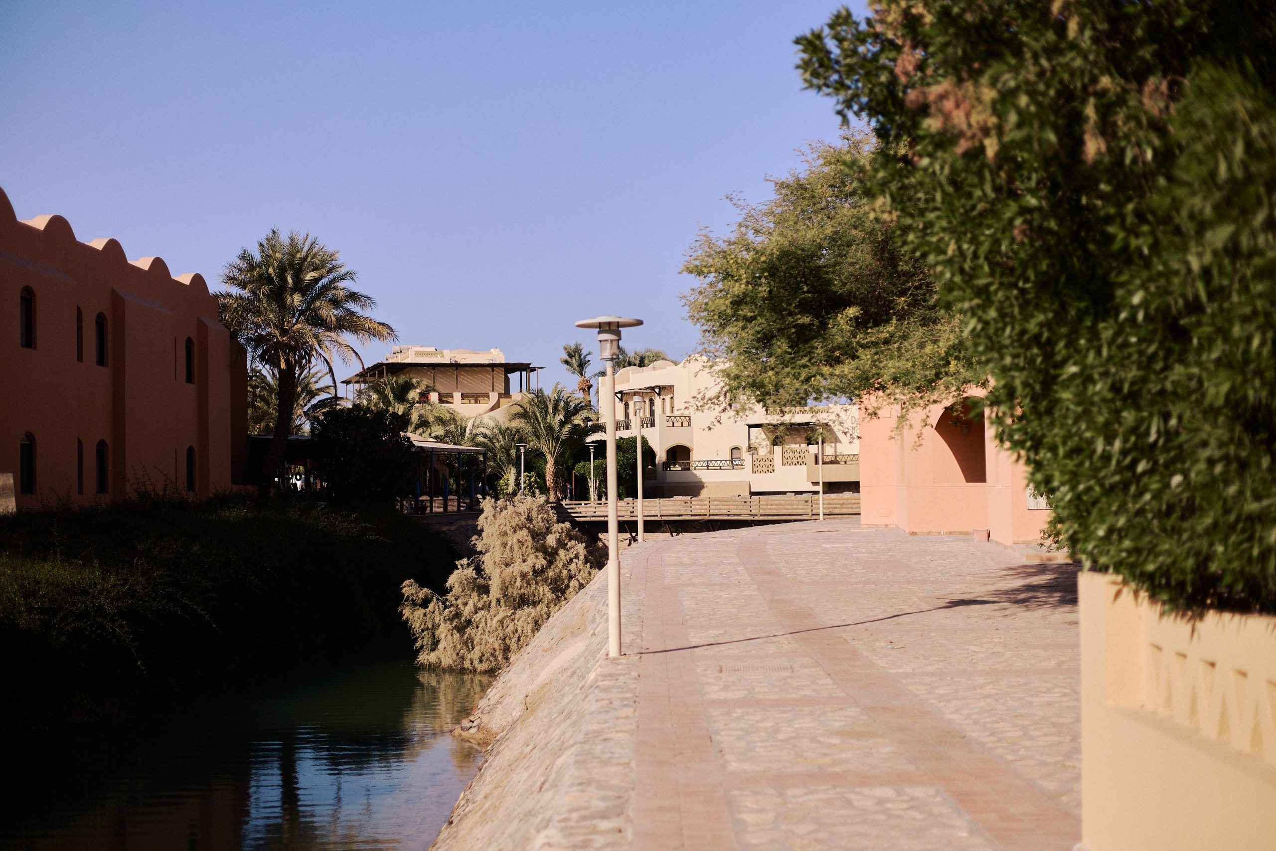 Другое 4. Jorgis — фотограф в Хургаде / обучение фотографии