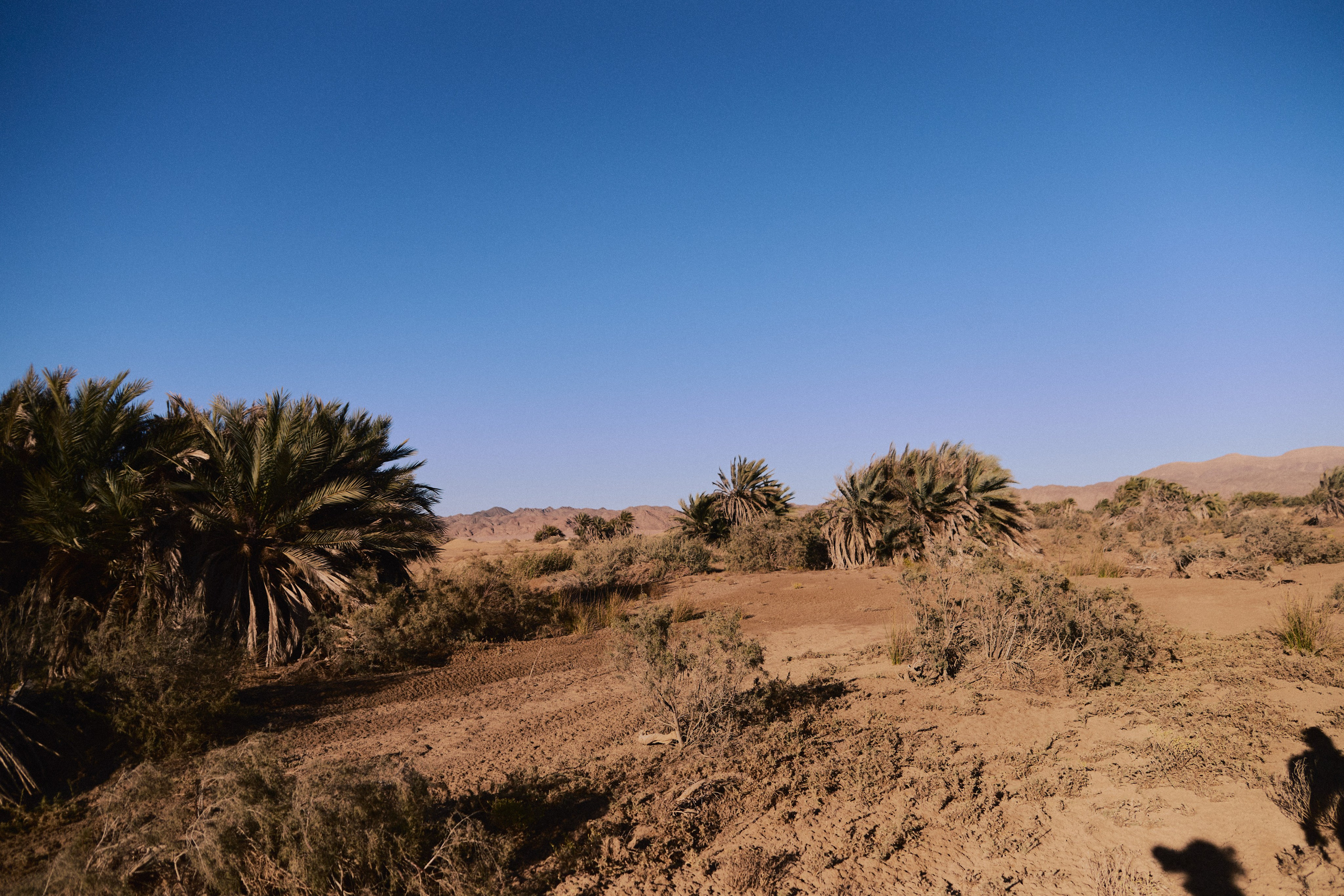 Улица горизонтальная. Jorgis — фотограф в Хургаде / обучение фотографии