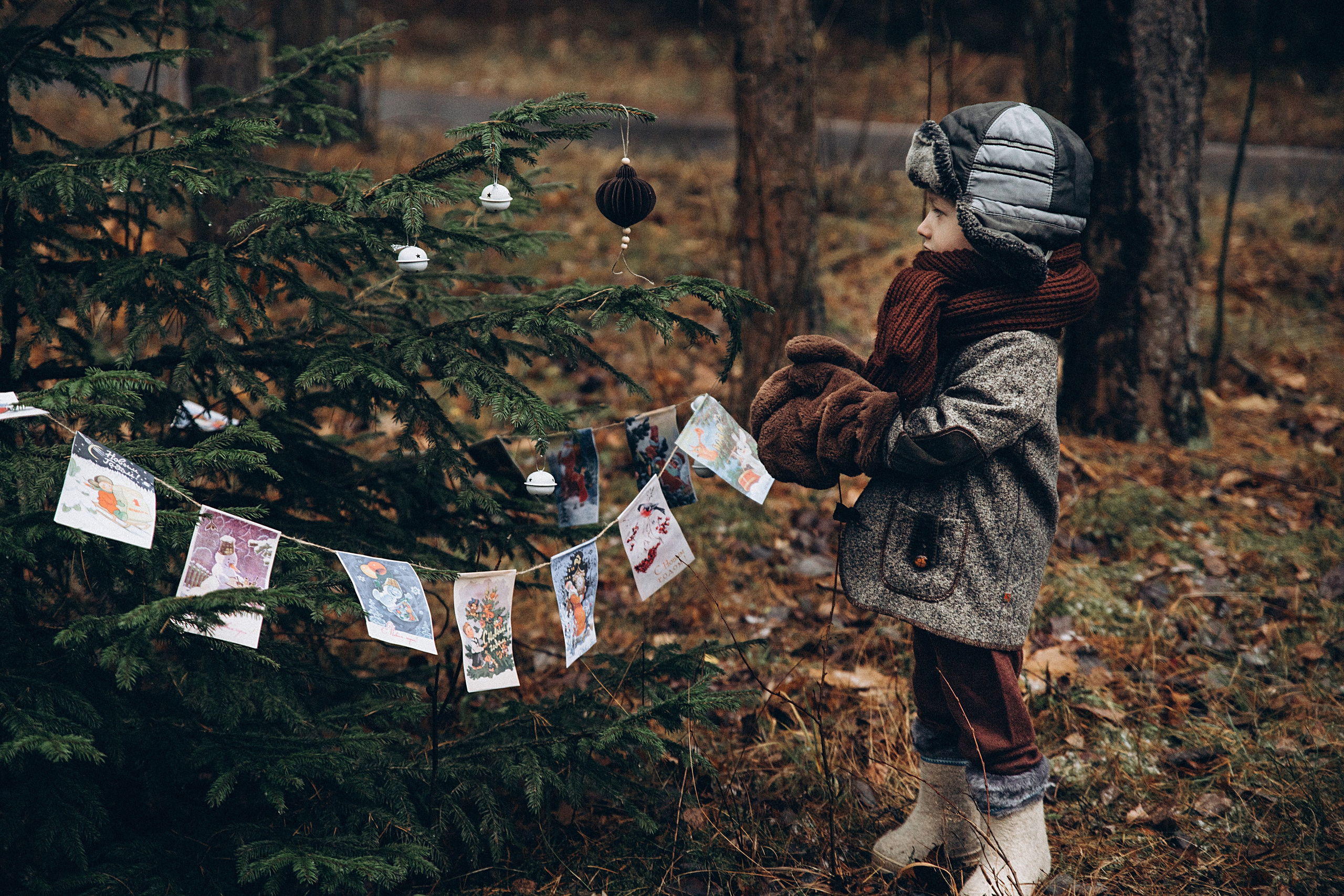 Елка в лесу. Репортажный и детский фотограф в Минске