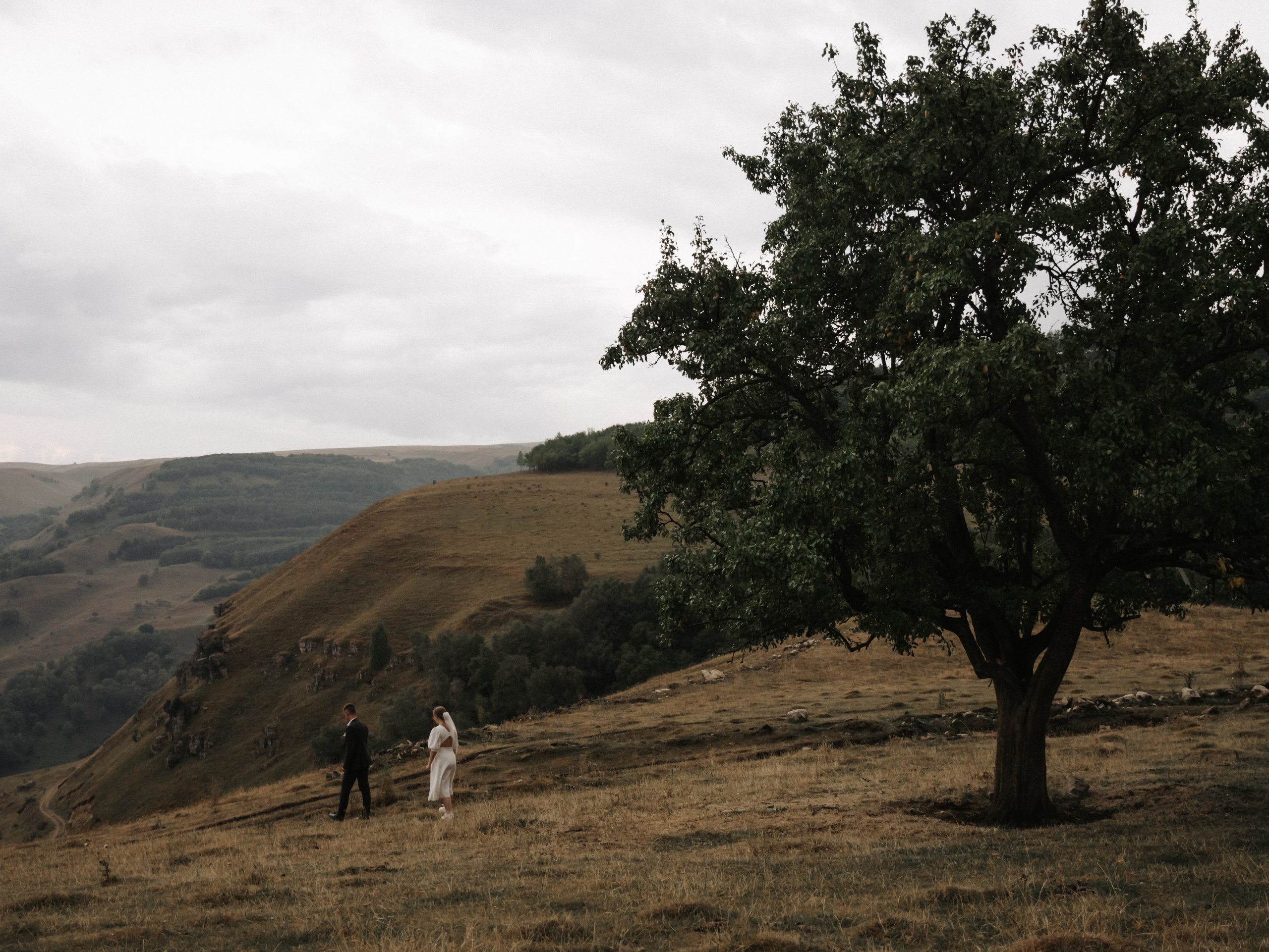 Д&В. Свадебный фотограф Ирина Беляева Пятигорск|Кисловодск|Эльбрус|Домбай