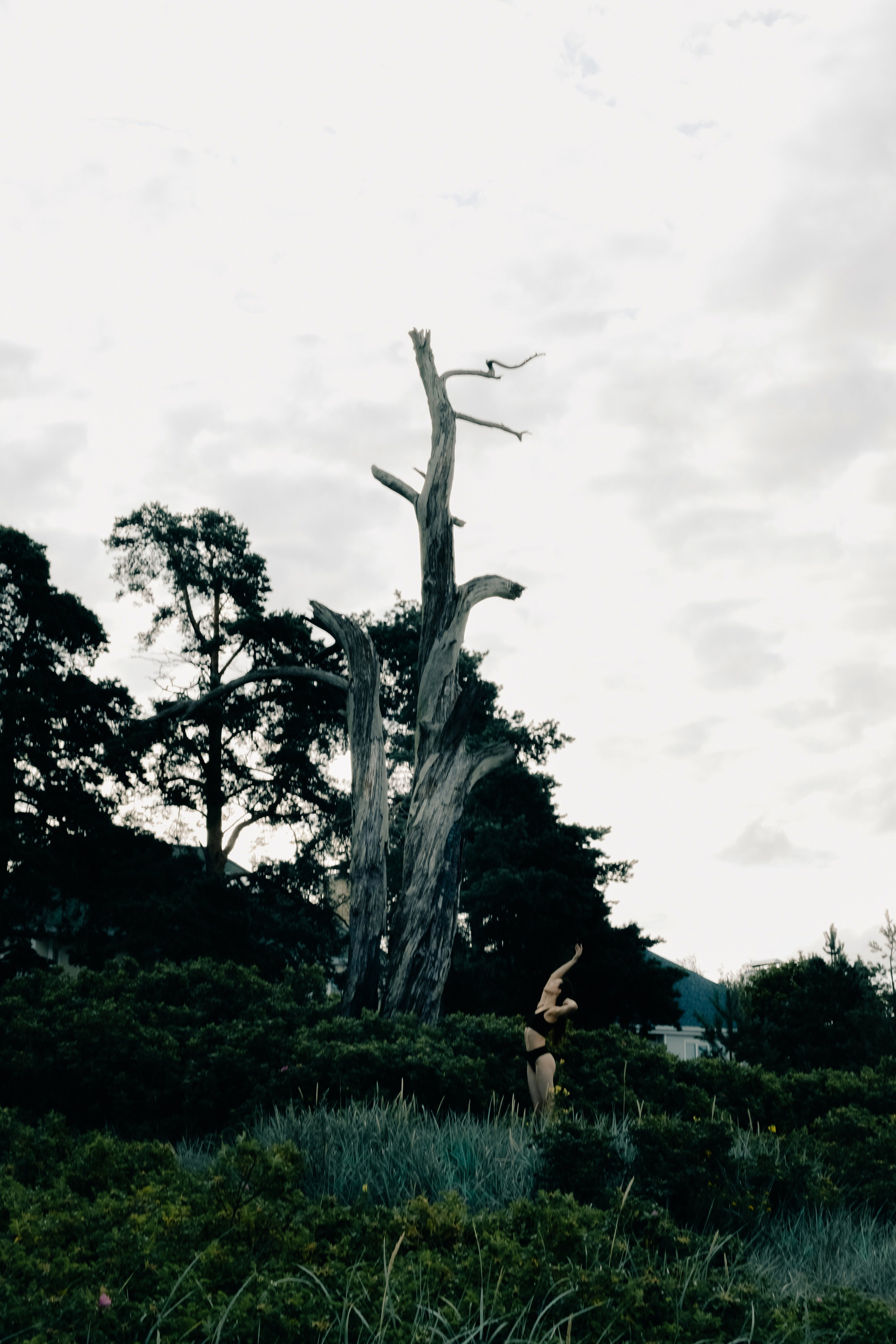 SIREN. Портретный и fashion-фотограф в Санкт-Петербурге Олеся Поле