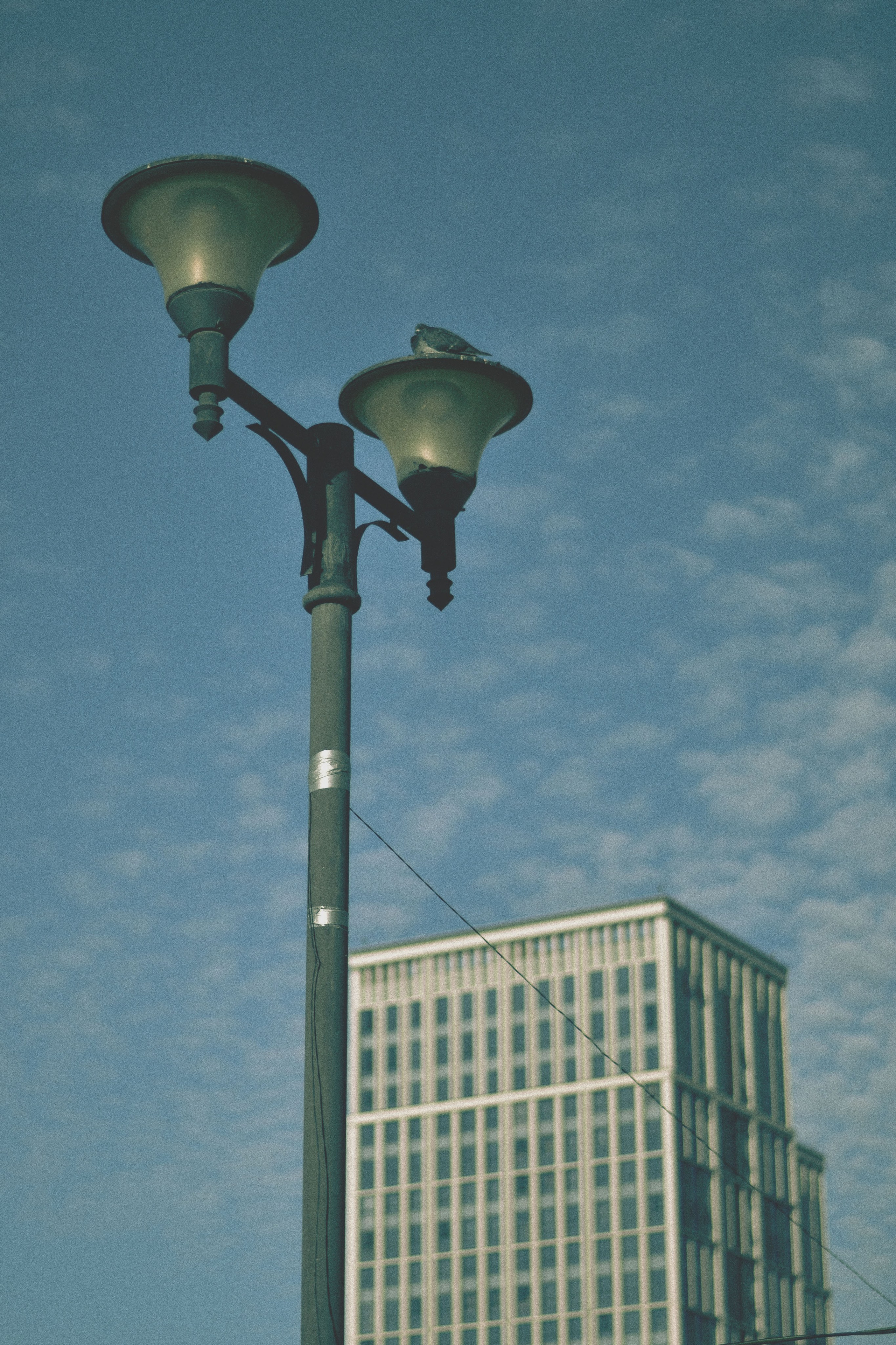 STREET. Фотограф Ольга Дмитриева. Новосибирск