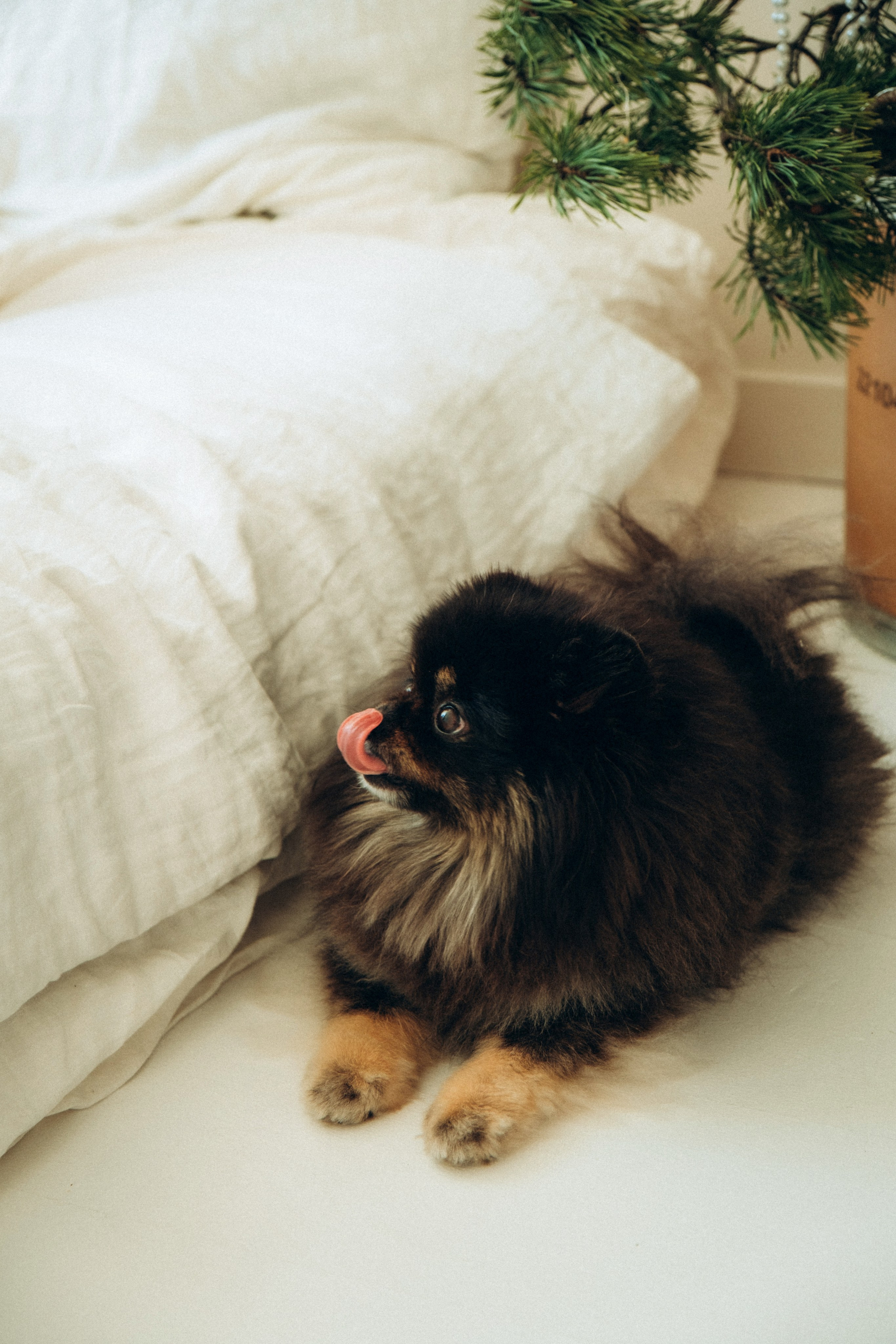 Лавстори новогодняя фотосессия беременности в Спб. Фотограф в Санкт-Петербурге Кристина Брянская