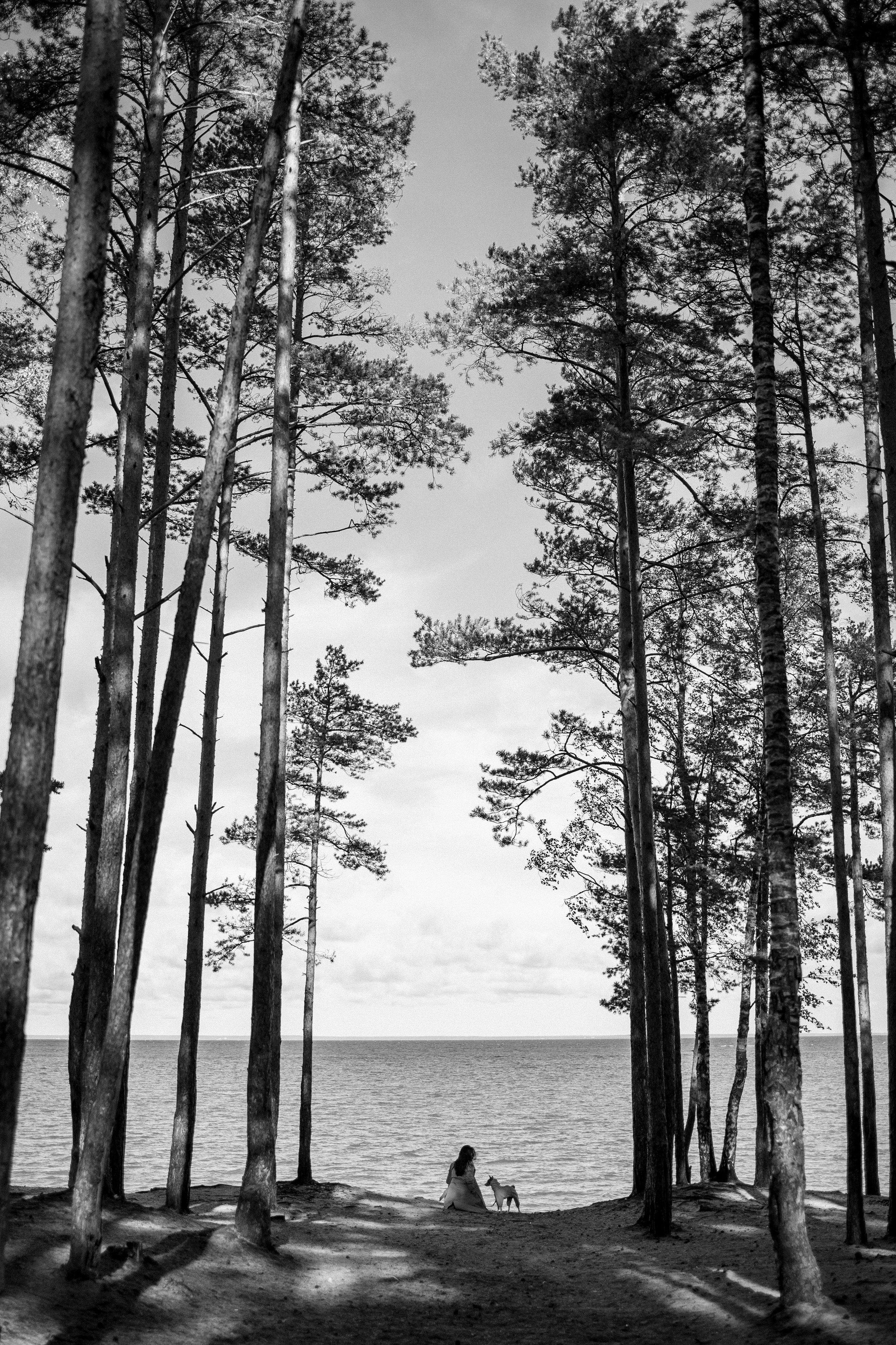 Алиса и Лео. Фотограф — Анималист | Санкт-Петербург