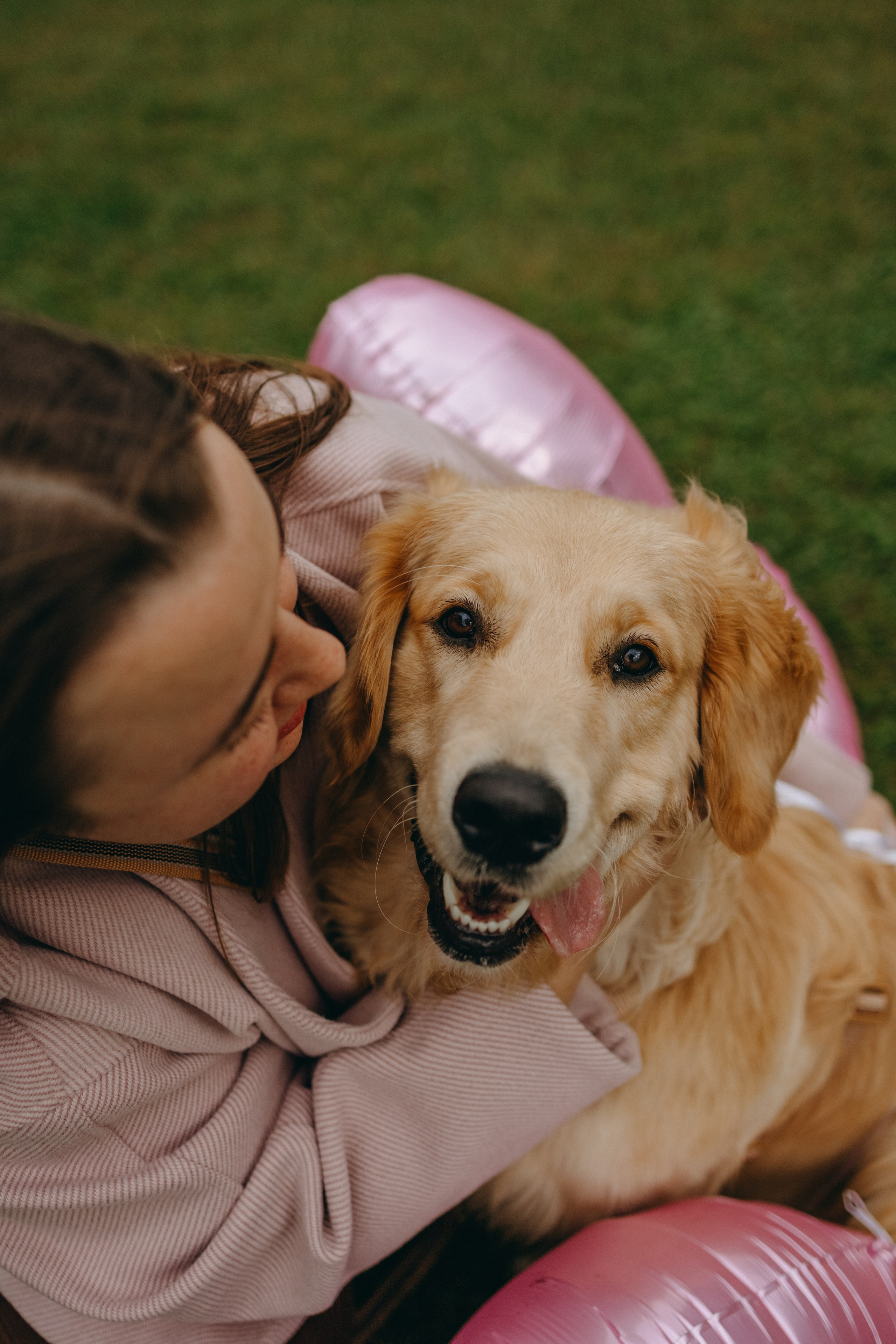 Бетти и ее семья. Фотограф — Анималист | Санкт-Петербург