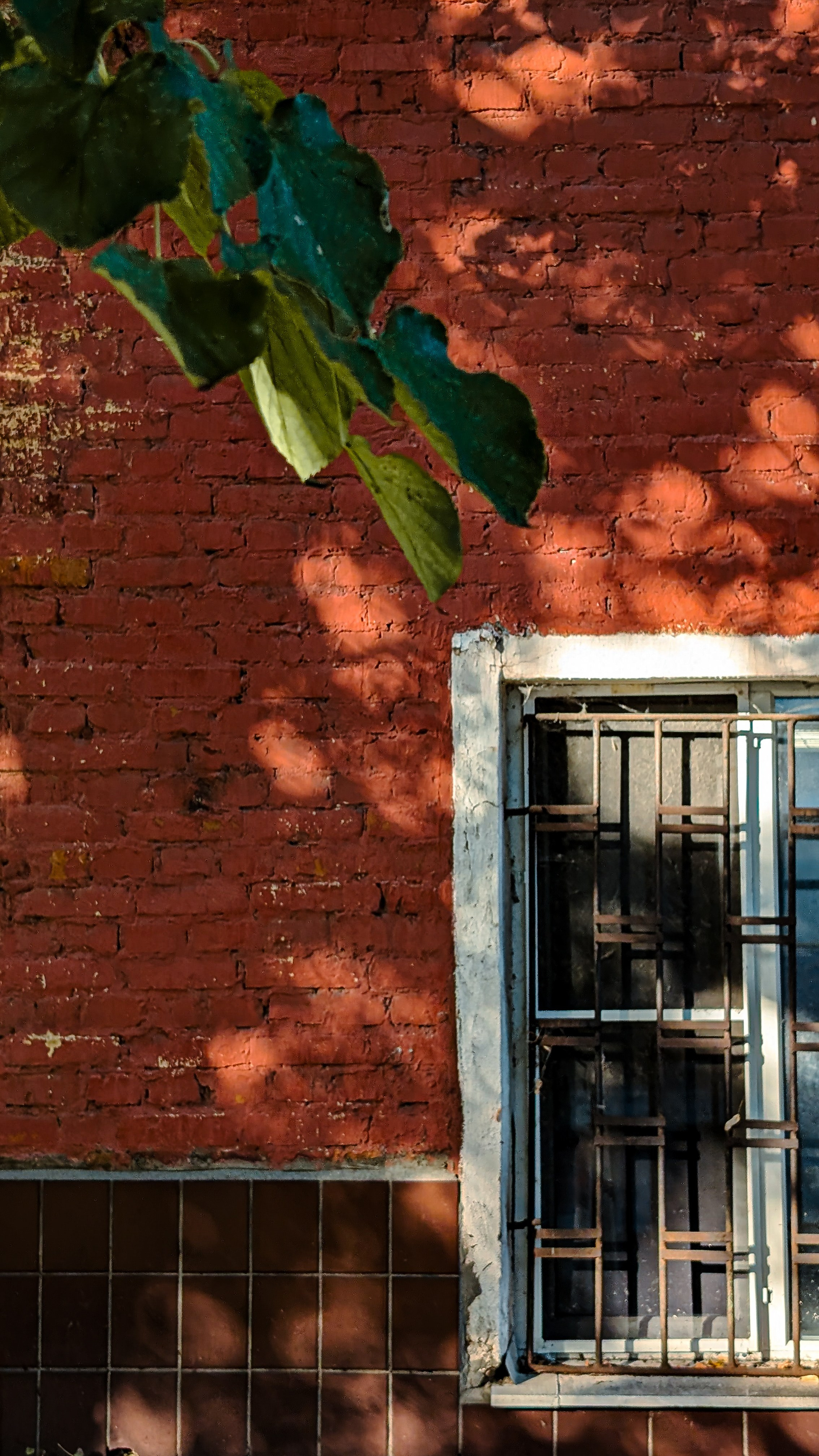 Мобильная фотография. Интерьерный и портретный фотограф в Москве Анна Моногарова