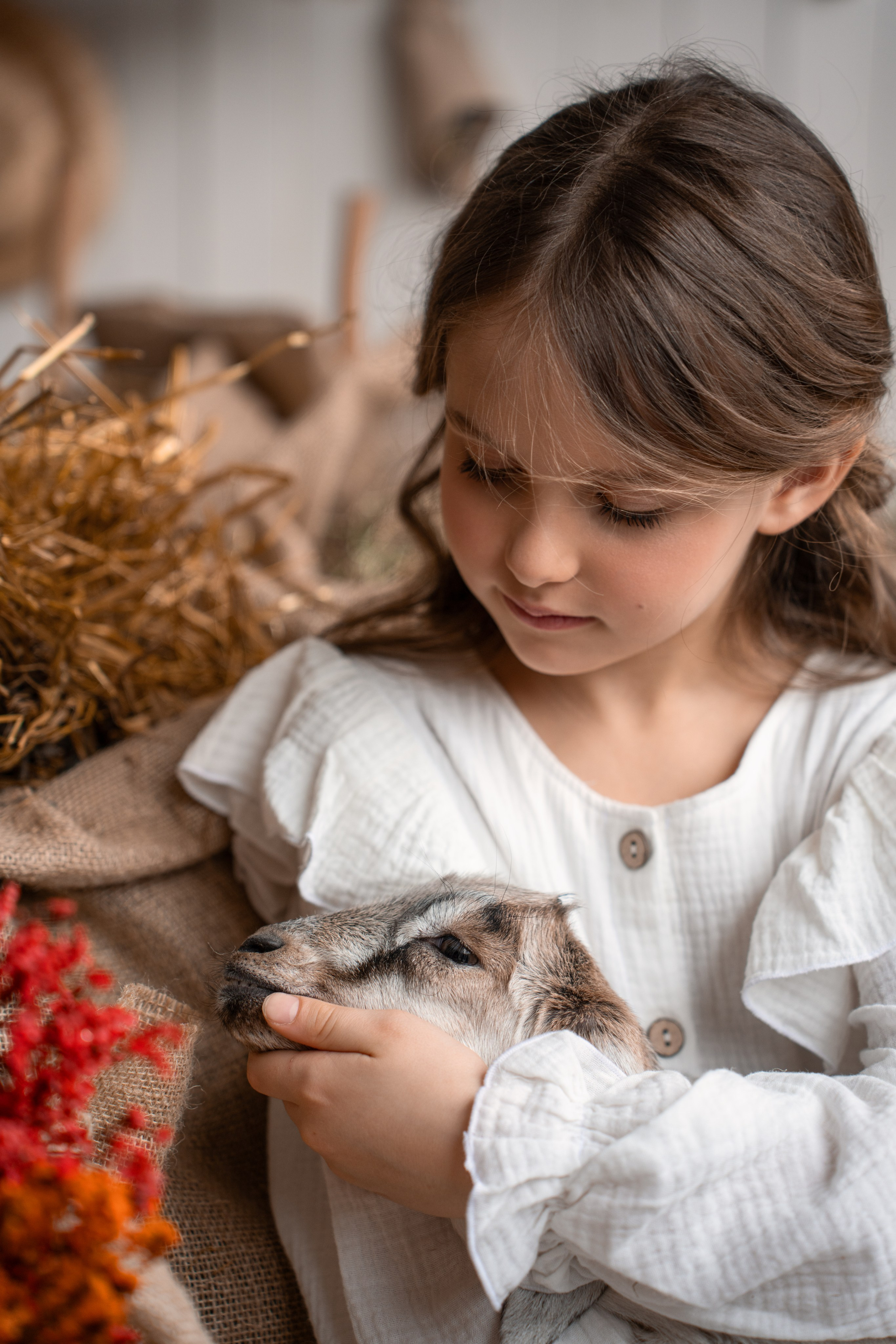 Девочка Сашенька и козочка + кролики + утята. Семейный и портретный фотограф в Санкт-Петербурге Татьяна Гримоть
