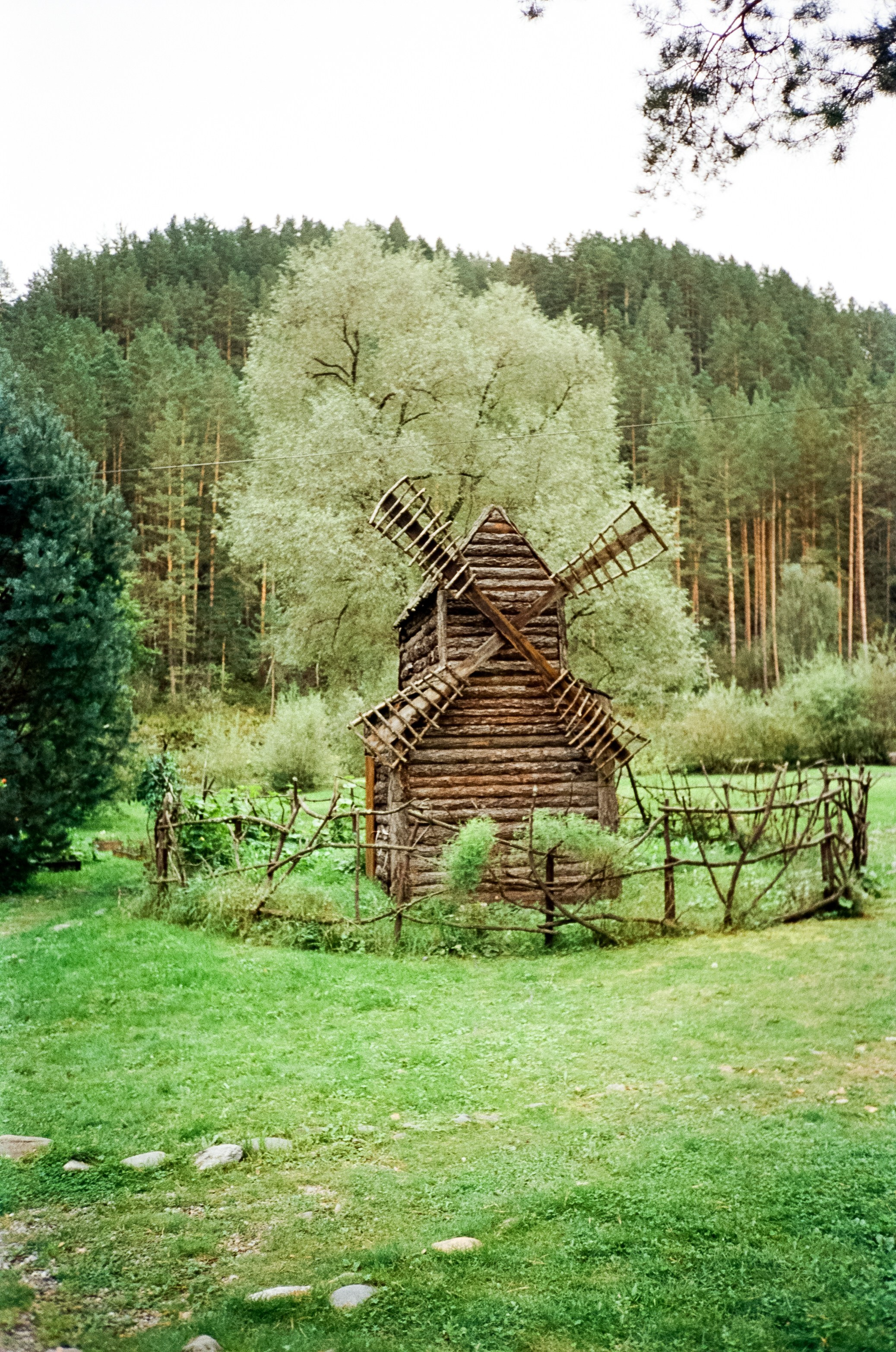 Верхи Алтая и деревня Берендеевка. Фотограф-документалист Мария Осокина