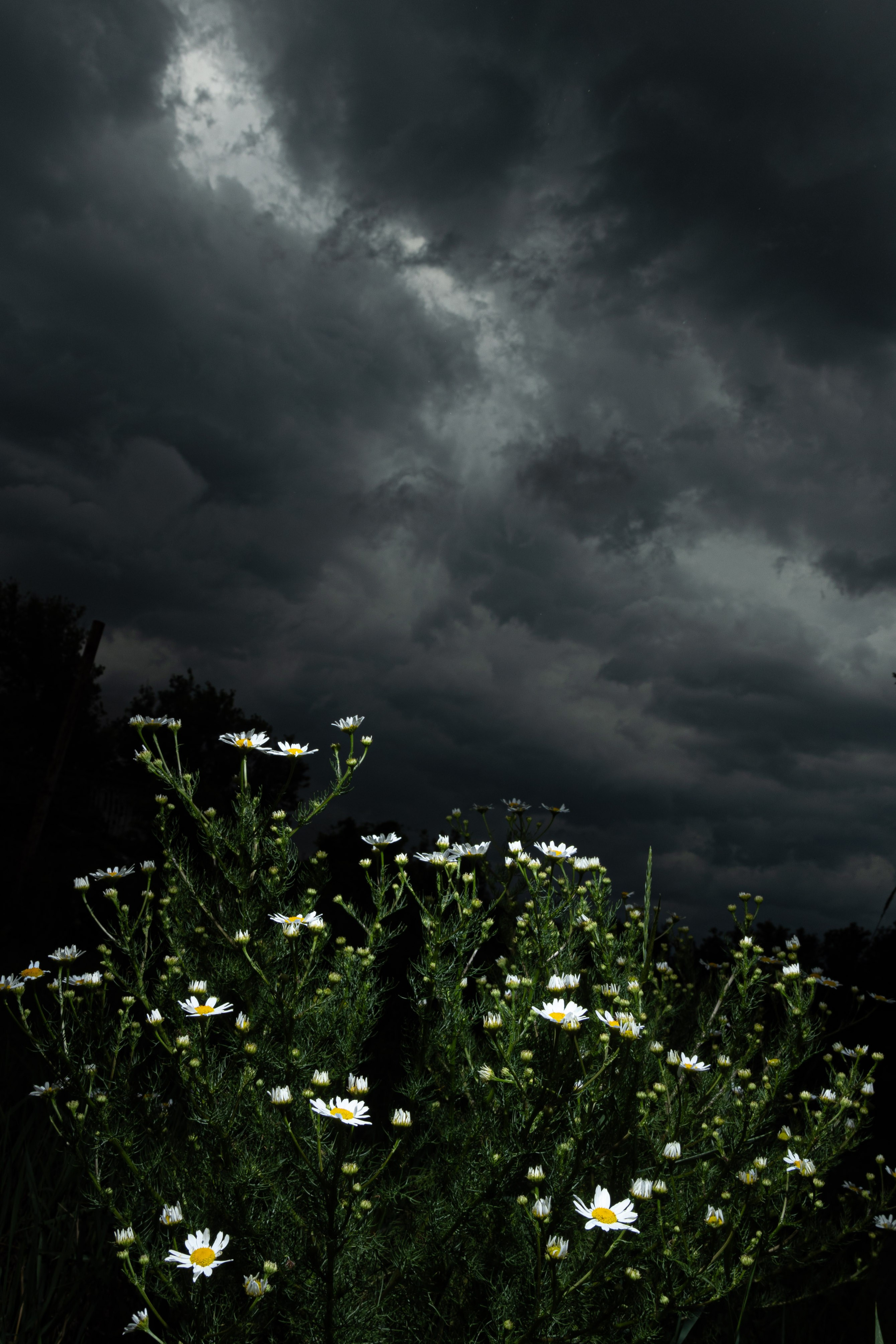 Фотограф Максим Никонов