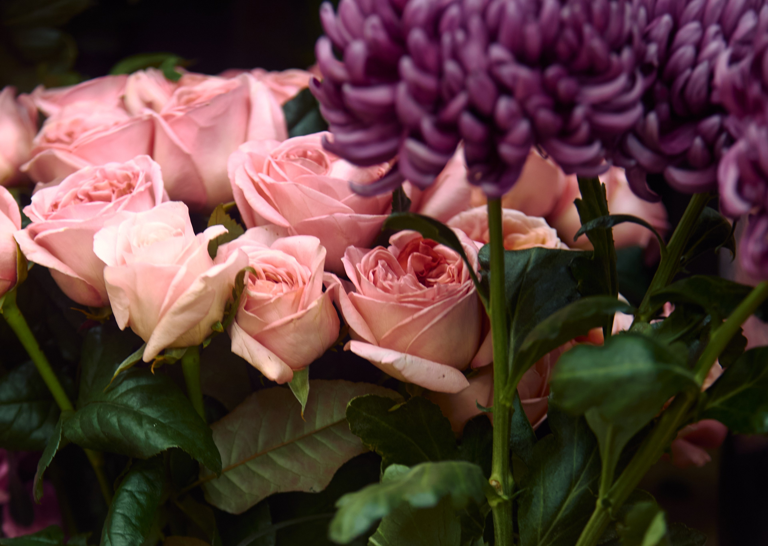 ART-HAOS. Фотограф видеограф в Москве и Московской области Саша Секрет