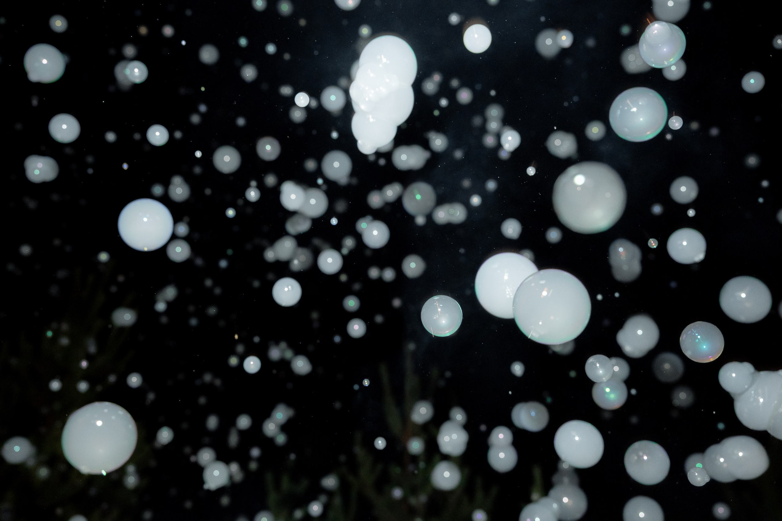 Dmitry & Alexandra. Свадебный фотограф в Москве