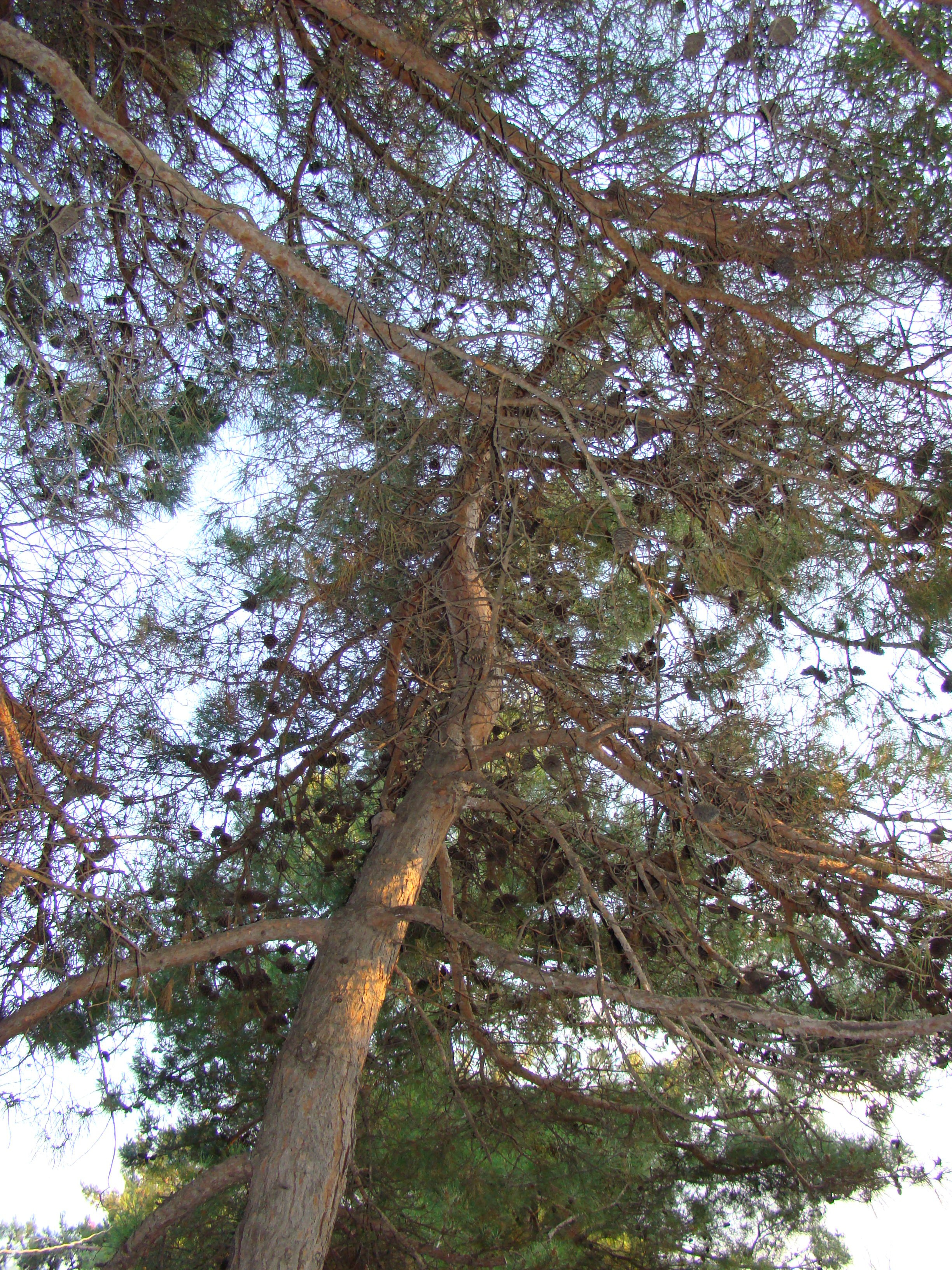 Кабардинка (фото Зевиных) 25.06-24.07.2008. Семейный, Свадебный фотограф СПБ Питер— Романова Екатерина