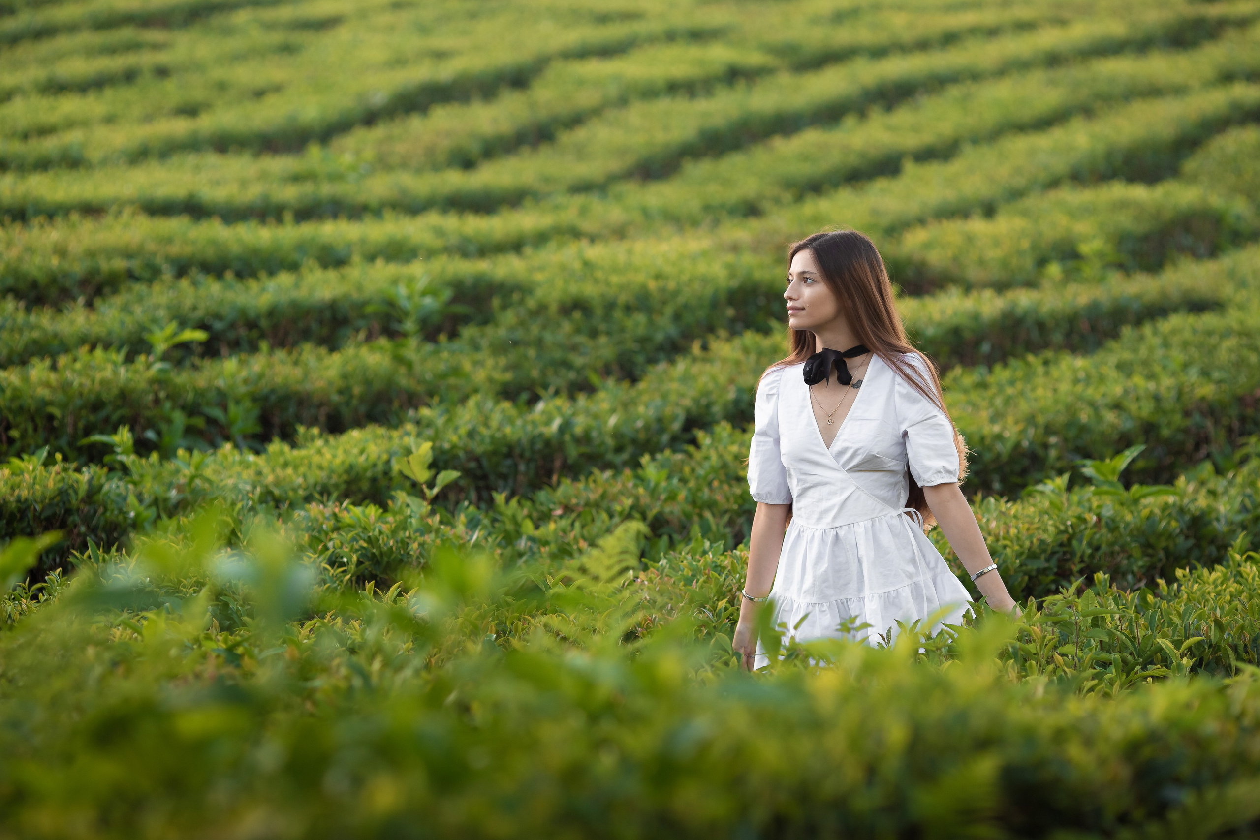 Чайная плантация. Сочи. Семейный и детский фотограф в Краснодарском крае Натали Фищенко