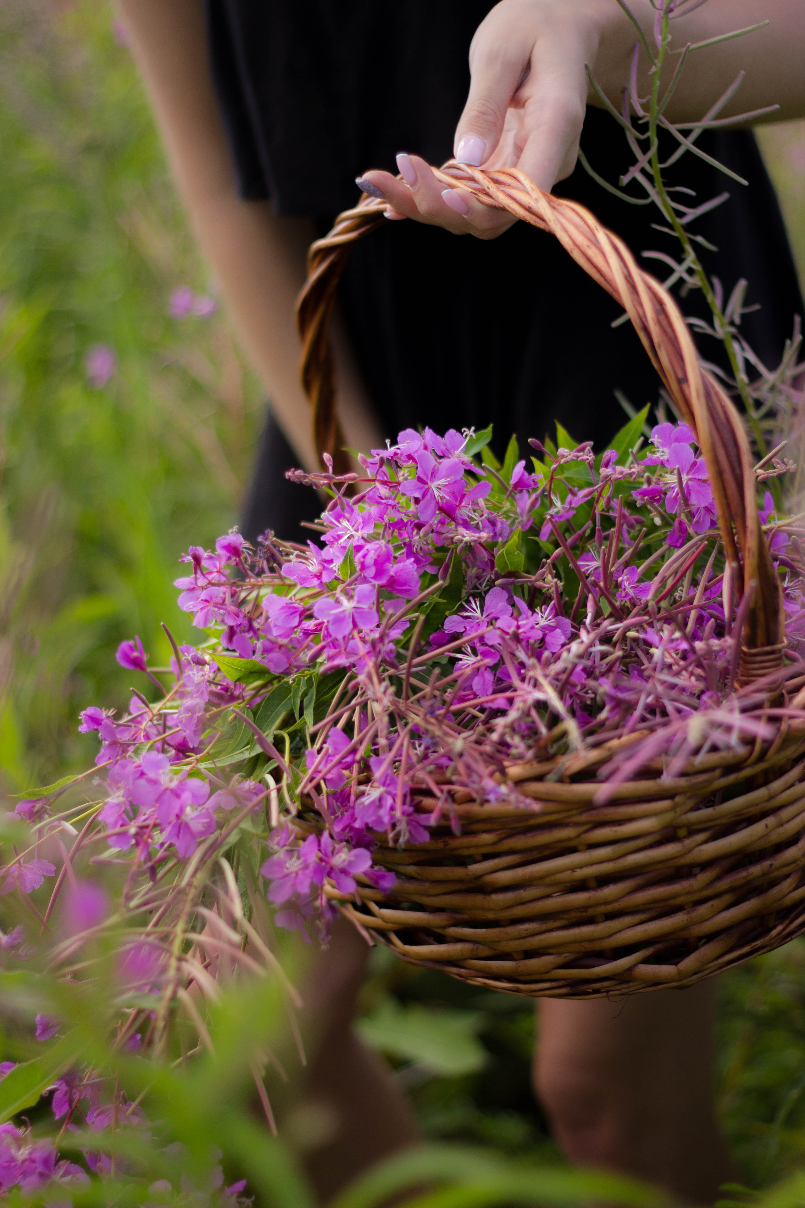 Фотосессия в Иркутске с Иван-чаем. Фотограф в Иркутске Тома Кабанова