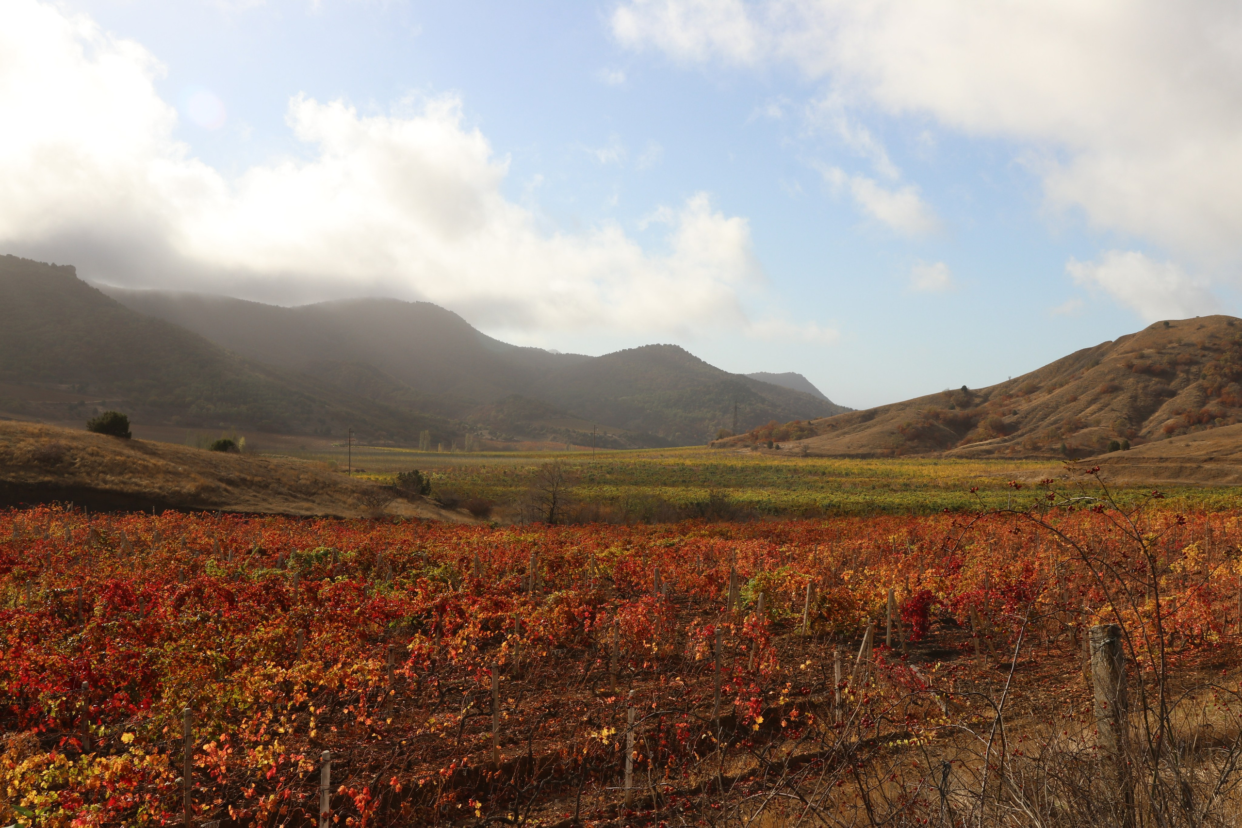 Крым. ЮБК (Гурзуф, Судак и их окрестности). Ноябрь 2023. Путешественник-фотограф из Санкт-Петербурга Татьяна Свистулина