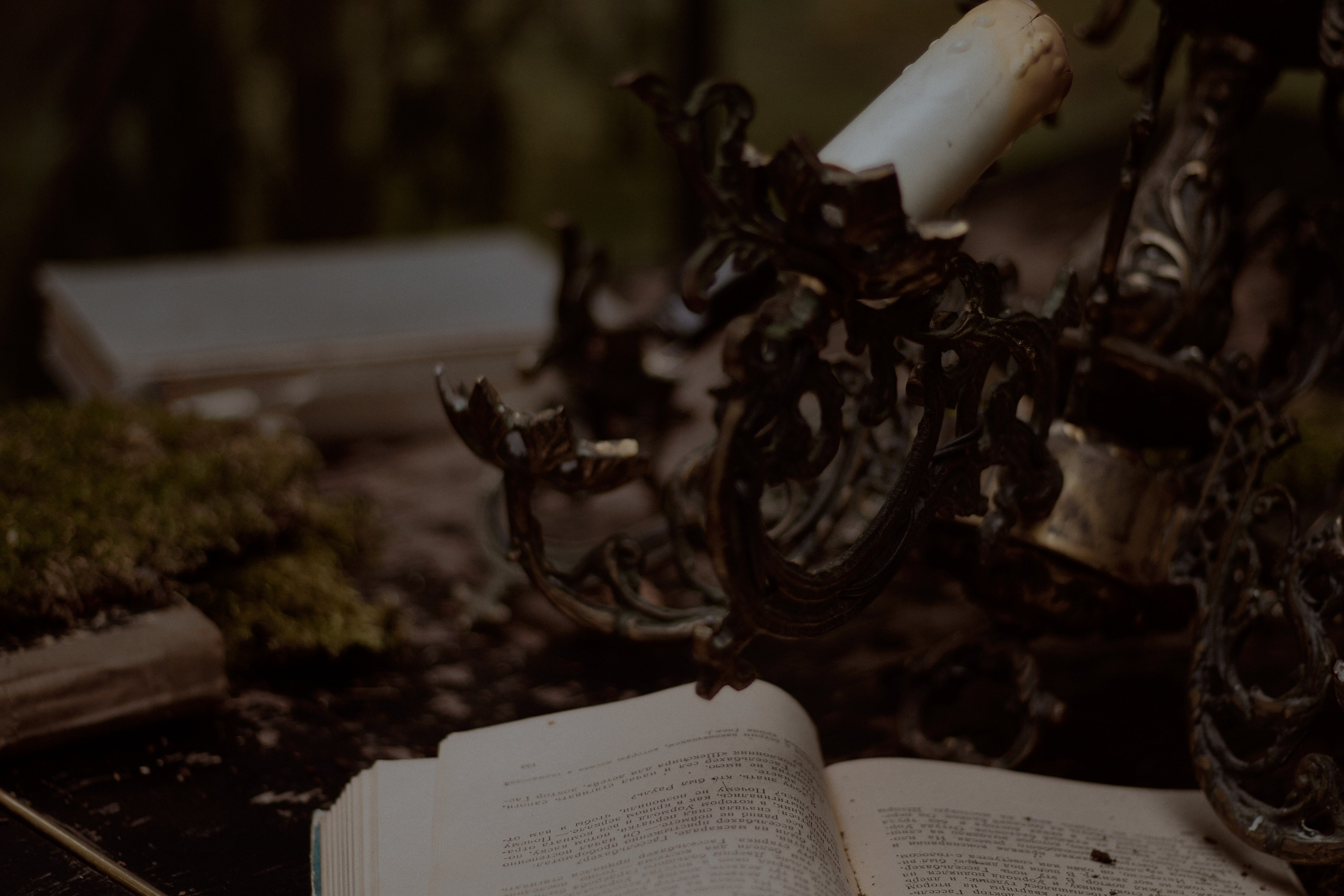 Стеклянная Оранжерея. Фотограф лавстори Москва/МО Приятелева Ангелина