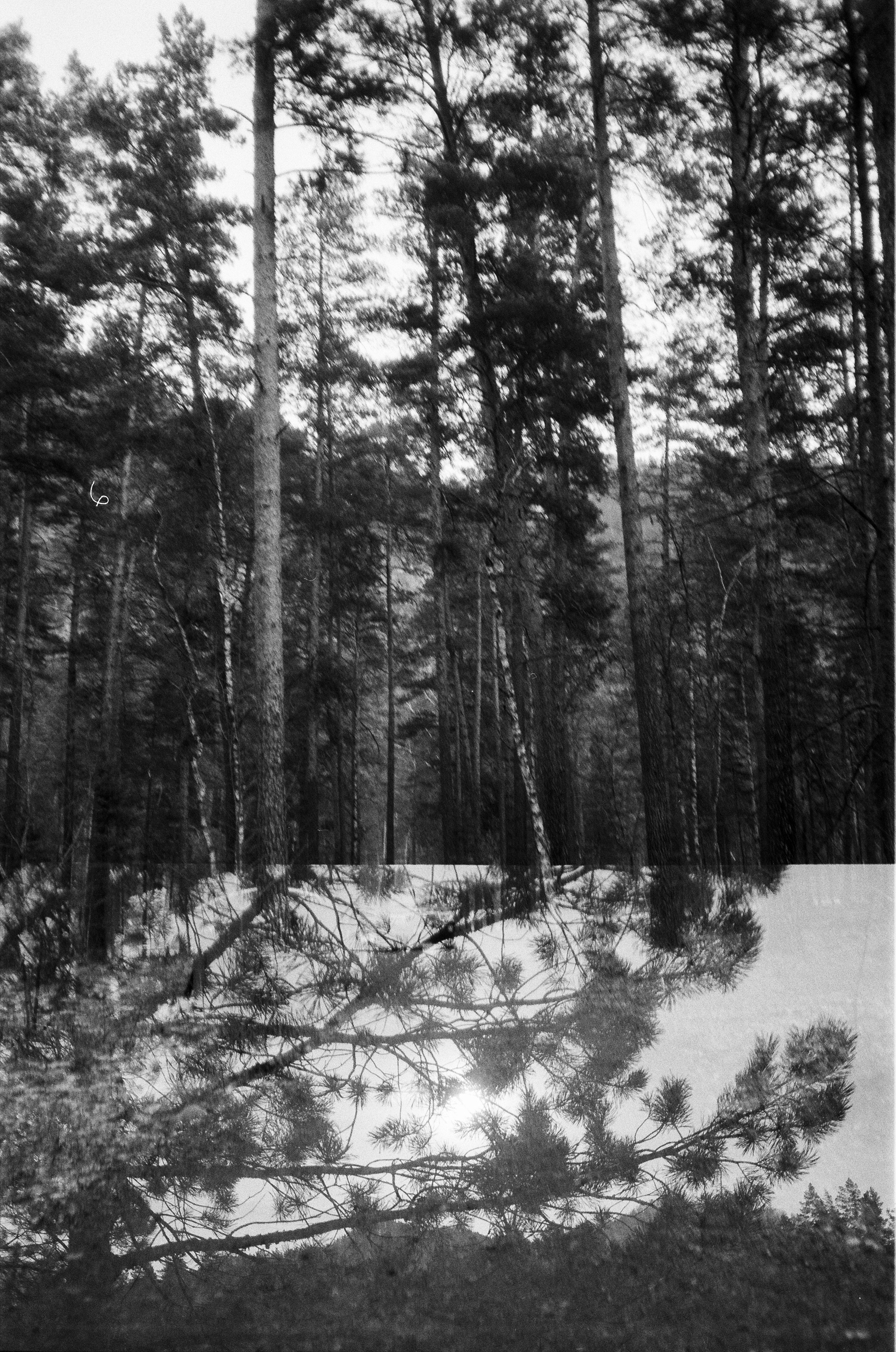 Зубы Дракона, Чемальский тракт, остров Патмос, Кызыл-Таш, Белые Скалы