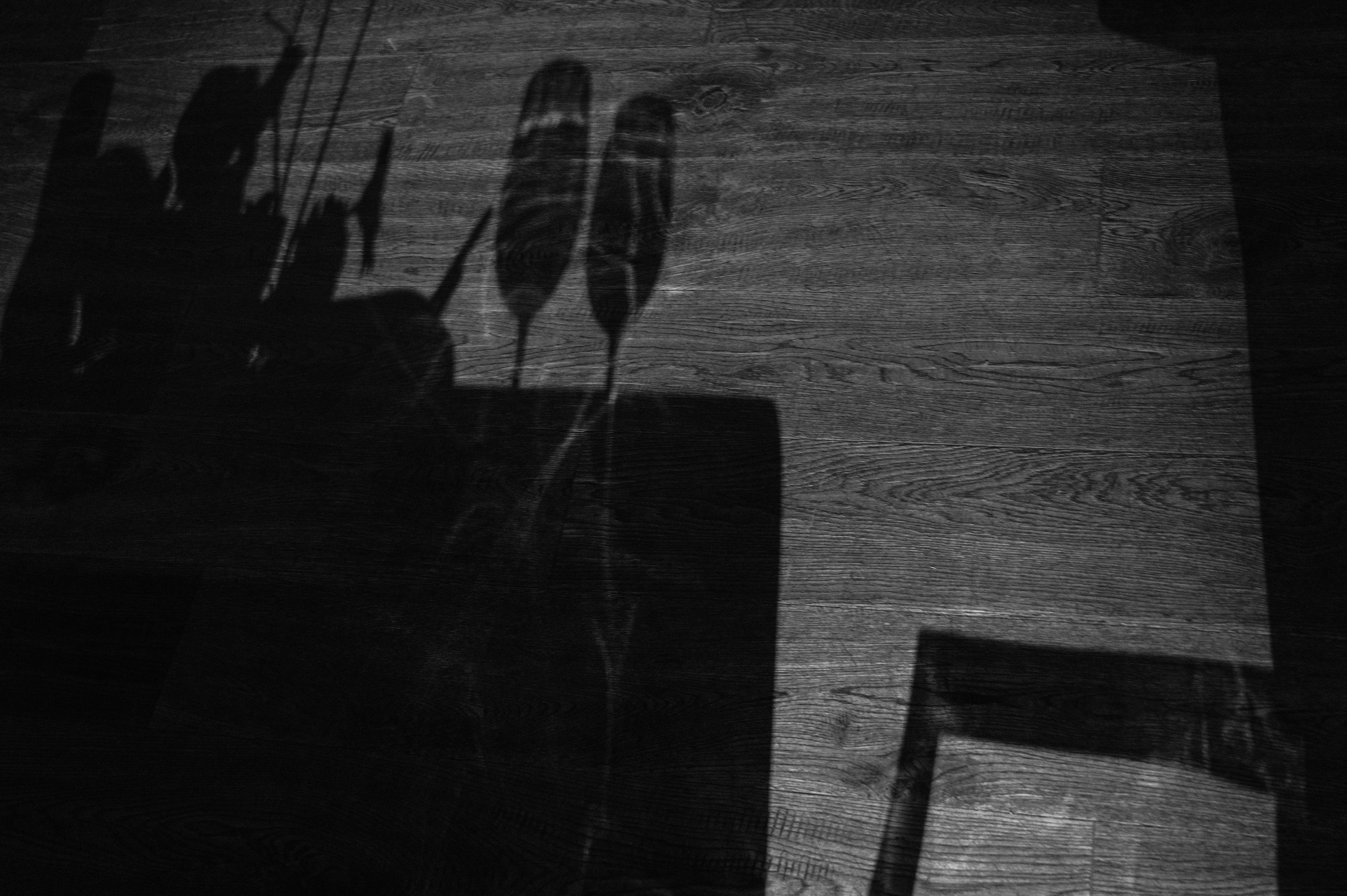 Fedor | Ilona. Свадебный фотограф Сергей Скрипник