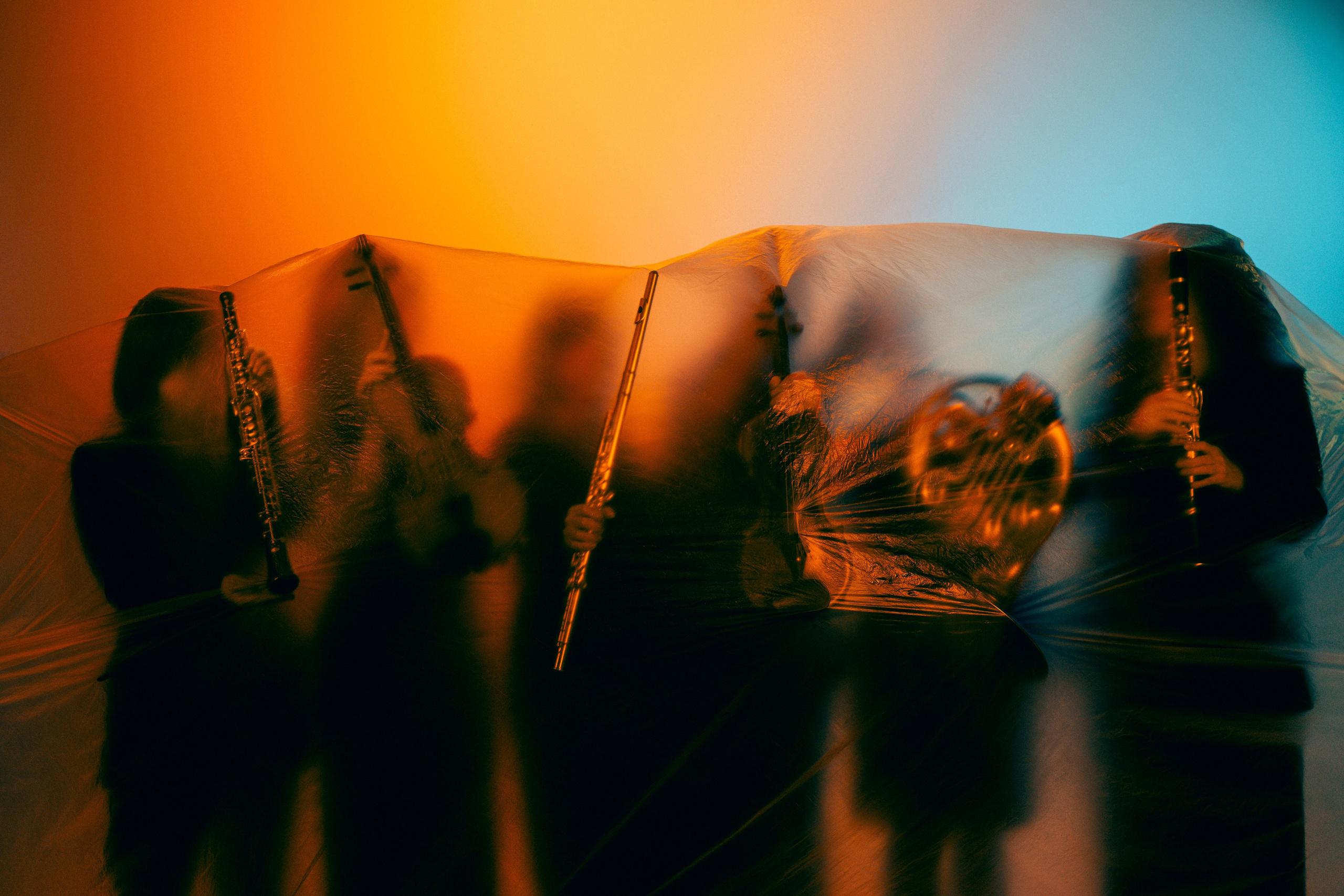 Лиза и euphoria orchestra. Фотограф в Москве и МО Влада Обласова