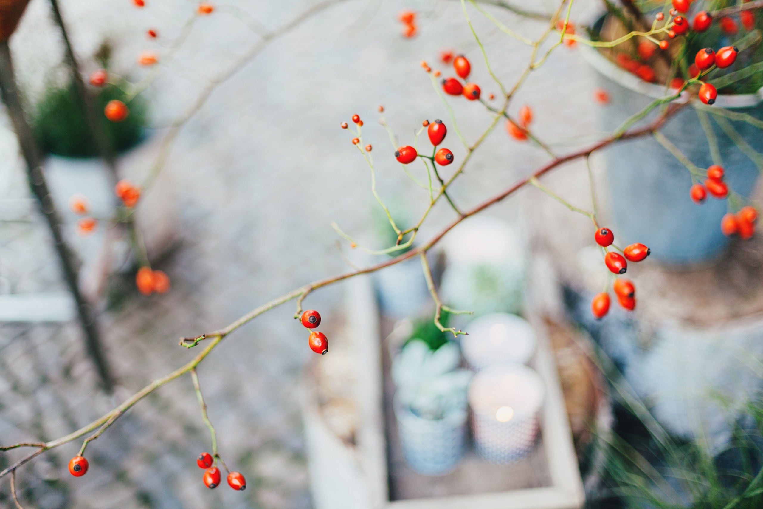 Берлин. Аня Степанова