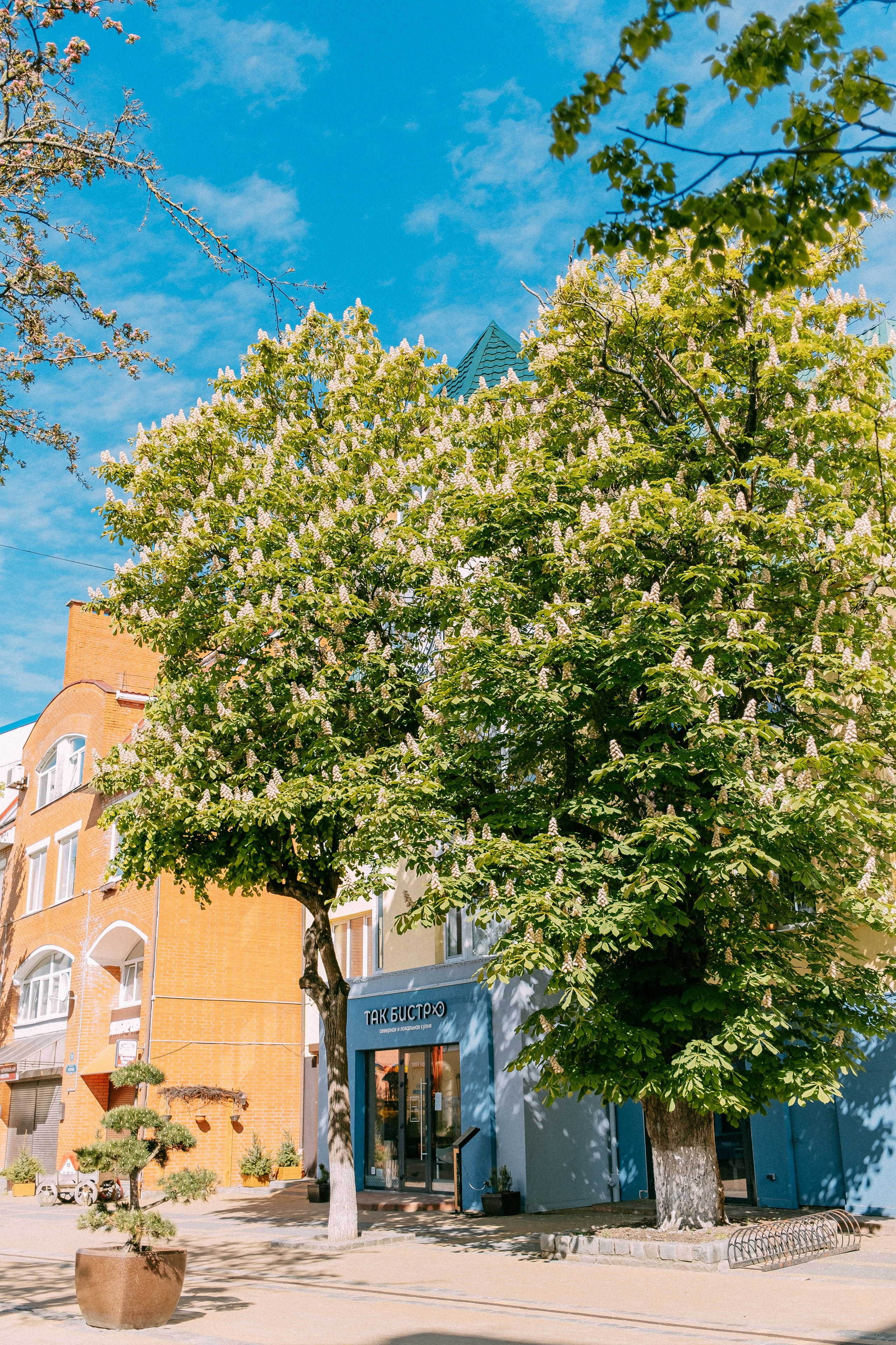 Зеленоградск. Аня Степанова