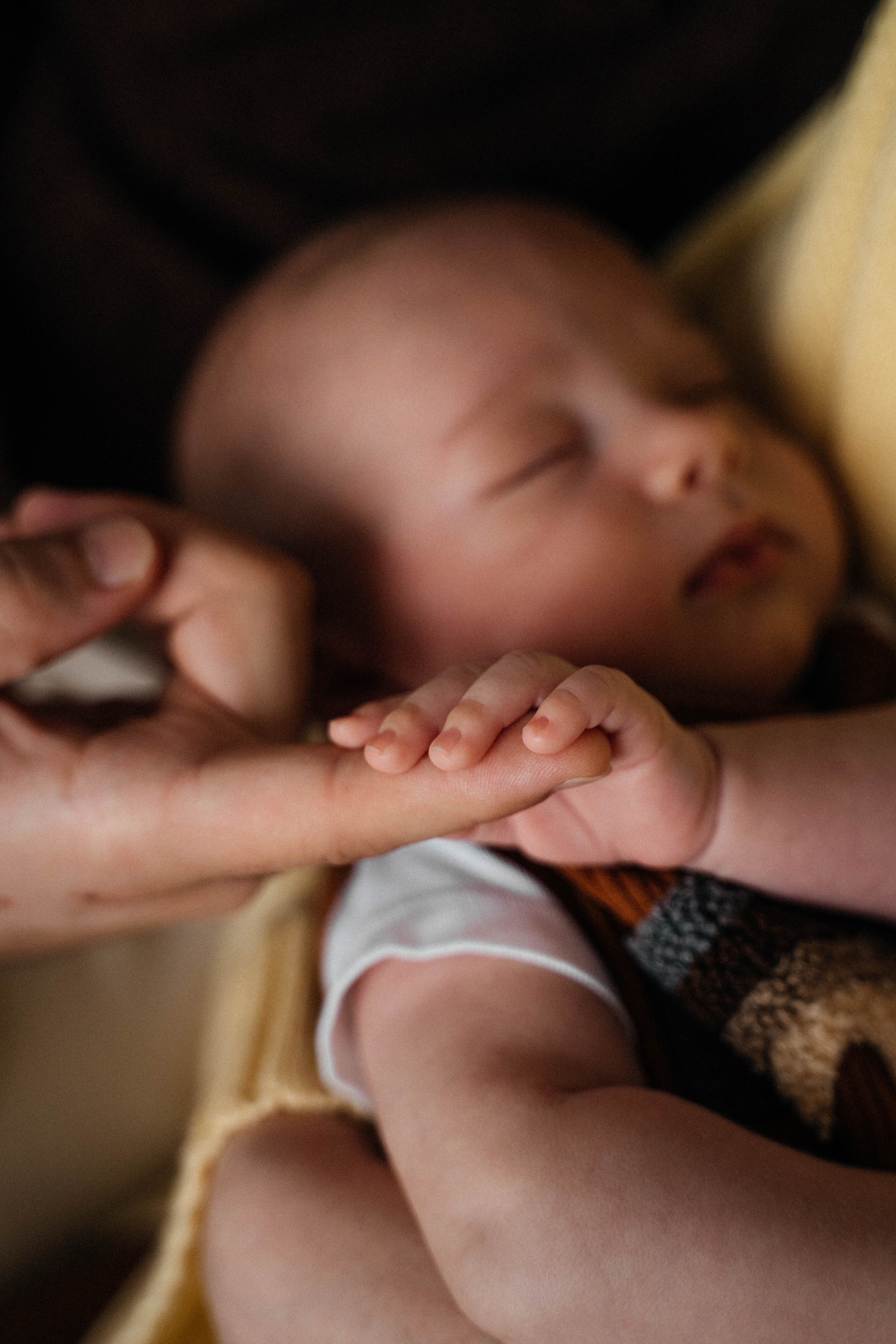 Семья Шунтовых. Свадебный и семейный фотограф