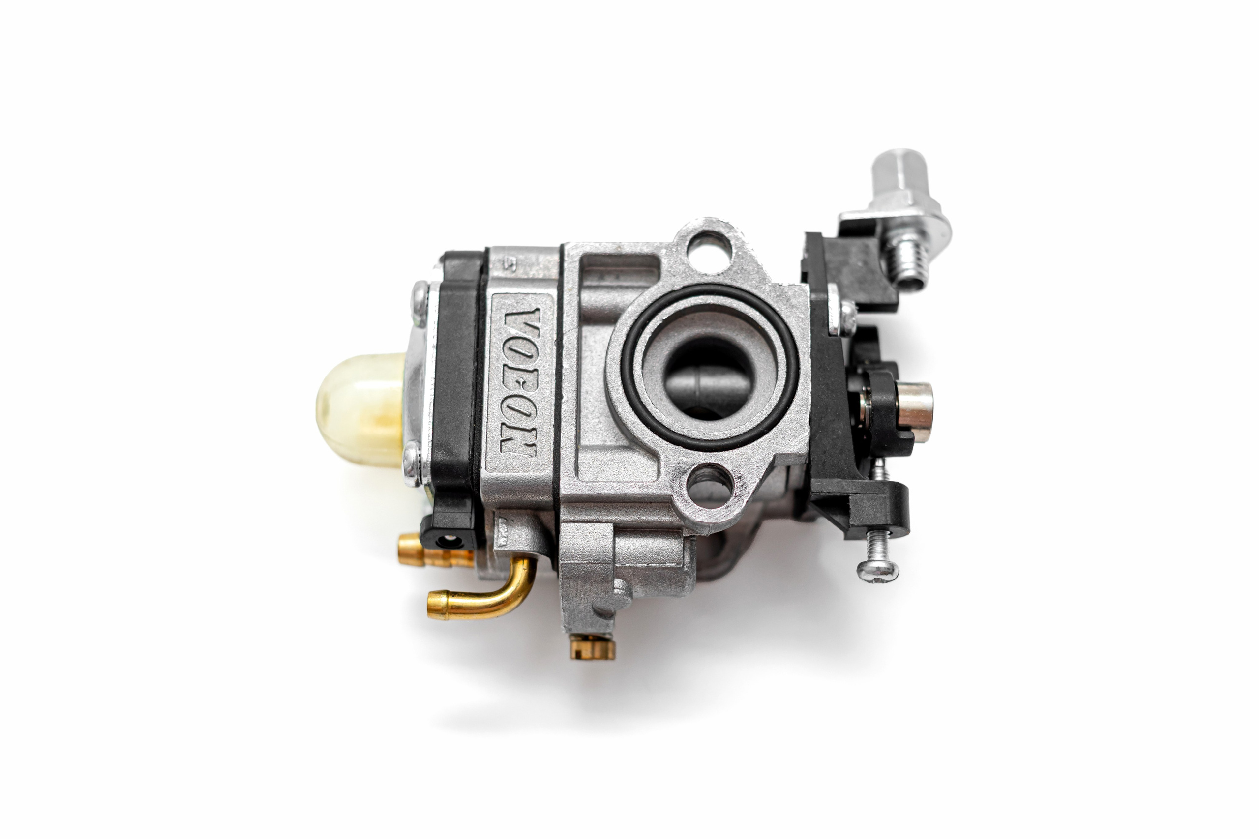 ФОТО. Фотограф Алина Гашникова