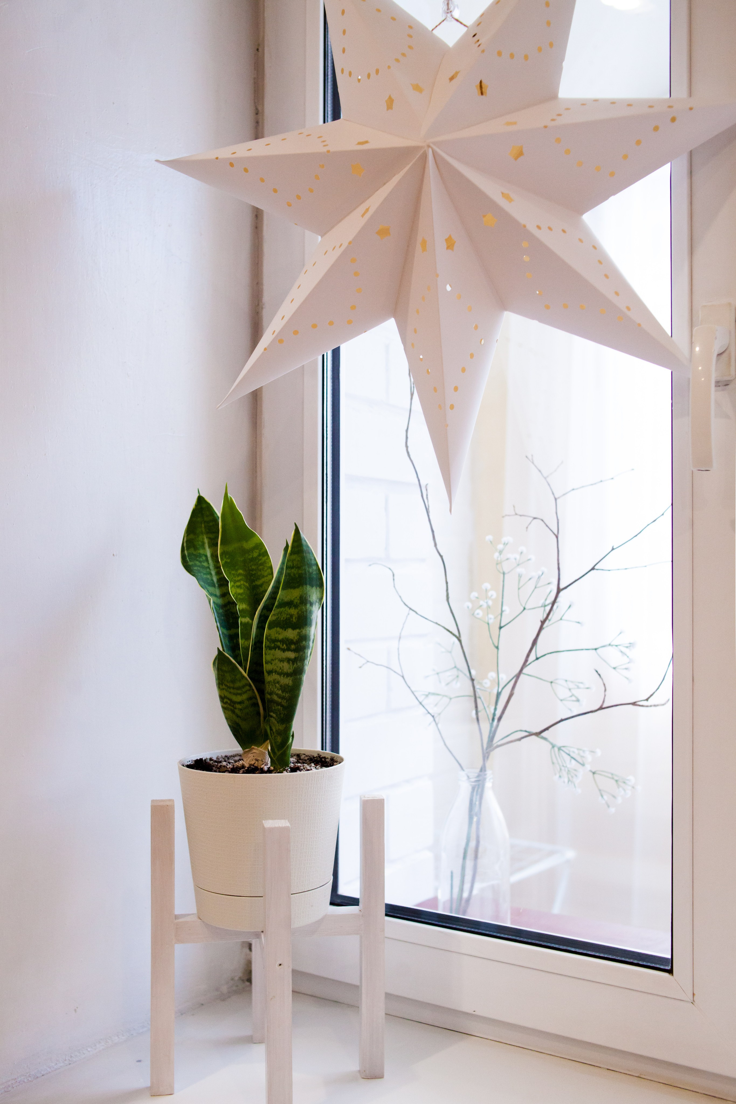 Однокомнатная квартира в аренду Киров. Анна Леденева Фотограф