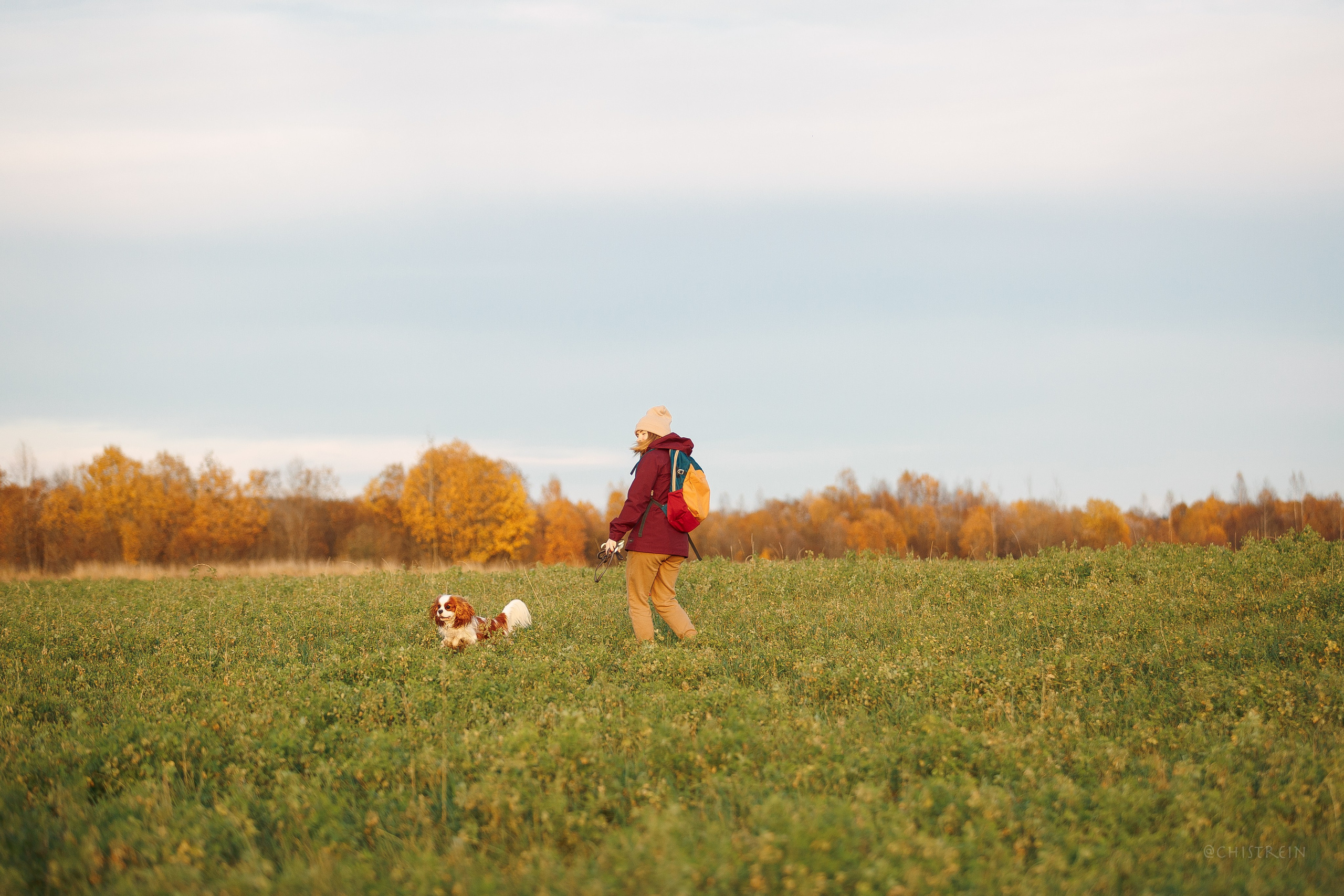 Октябрьский закат в полях. Алина и Лео. Фотограф-анималист Наталия Чистюхина в г. Сосновый Бор и ЛО
