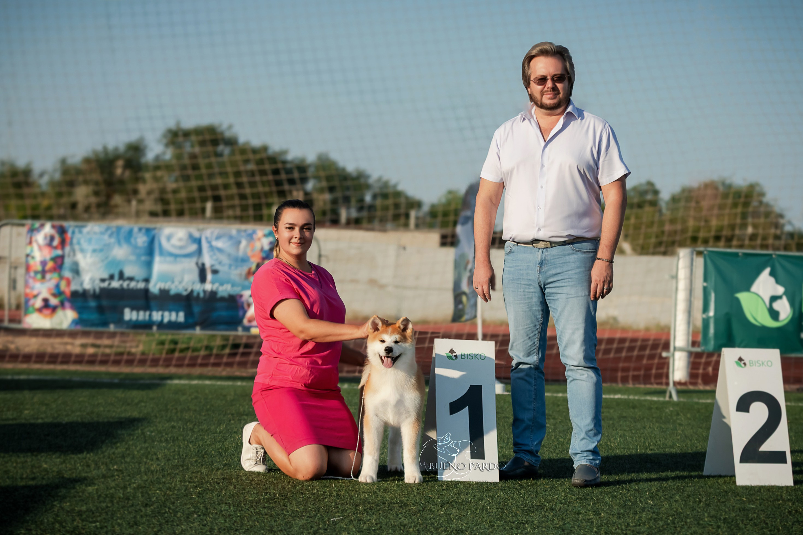 АКИТА. Kawaii Kuma питомник собак пород Корги пемброк, Акита ину, Сиба