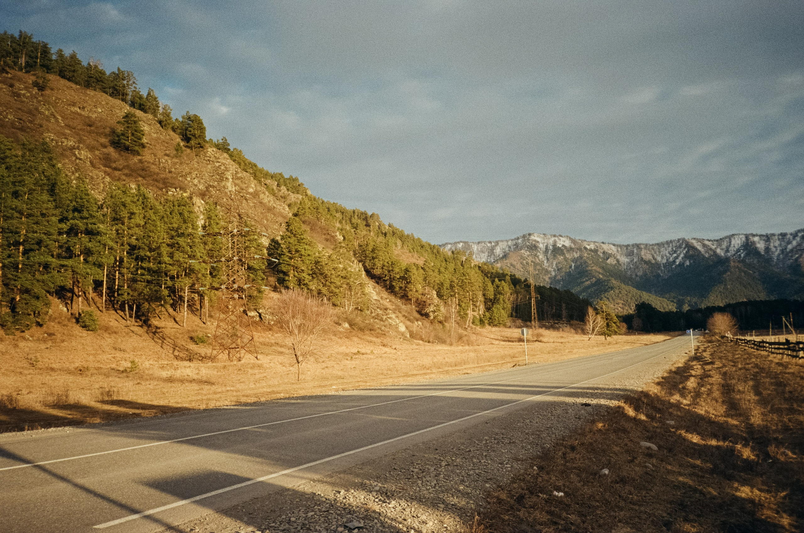 От Кызыл-Таша до Чемала. Техас, горы, поля и коровы. Фотограф-документалист Мария Осокина