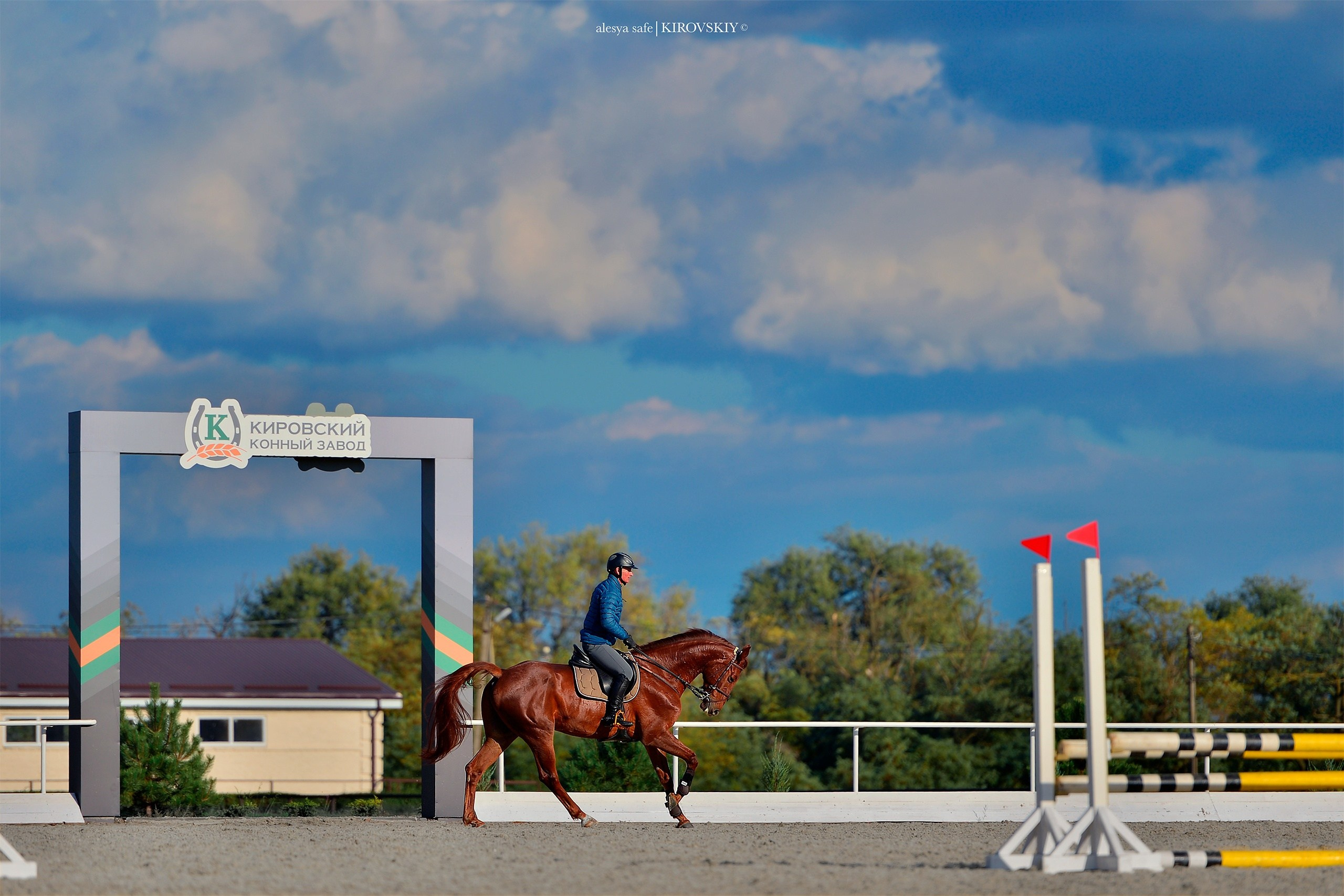 Кировский конный завод. Конный фотограф Alesya Safe